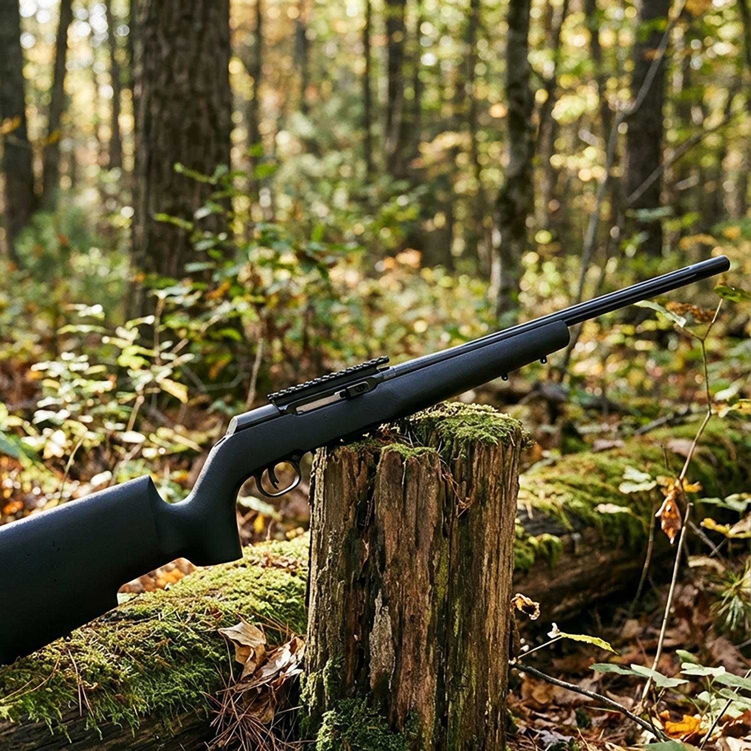 Savage A22 22 HMR Boyds Pro Varmint Semiautomatic Rifle                                                                          - view number 3