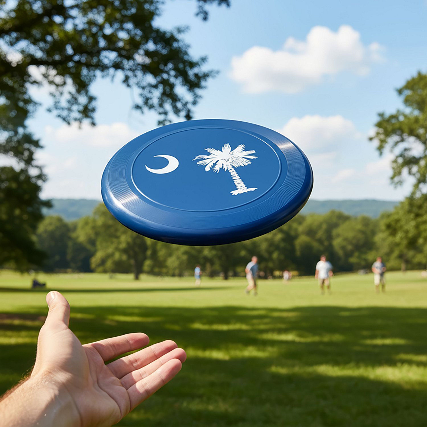 Academy Sports + Outdoors 175G South Carolina State Pride Flying Disc - view number 2