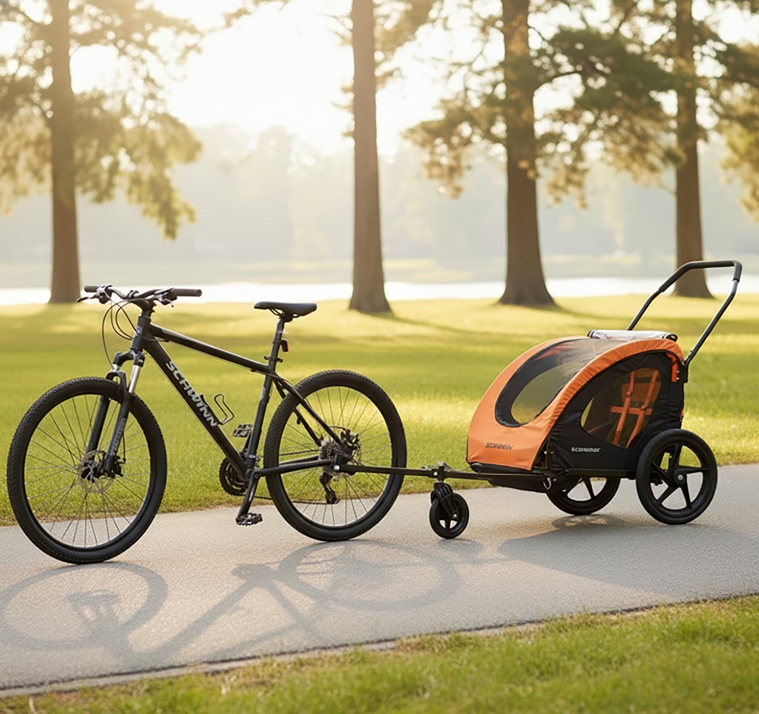 Schwinn Springbrook Double Bike Trailer and Stroller