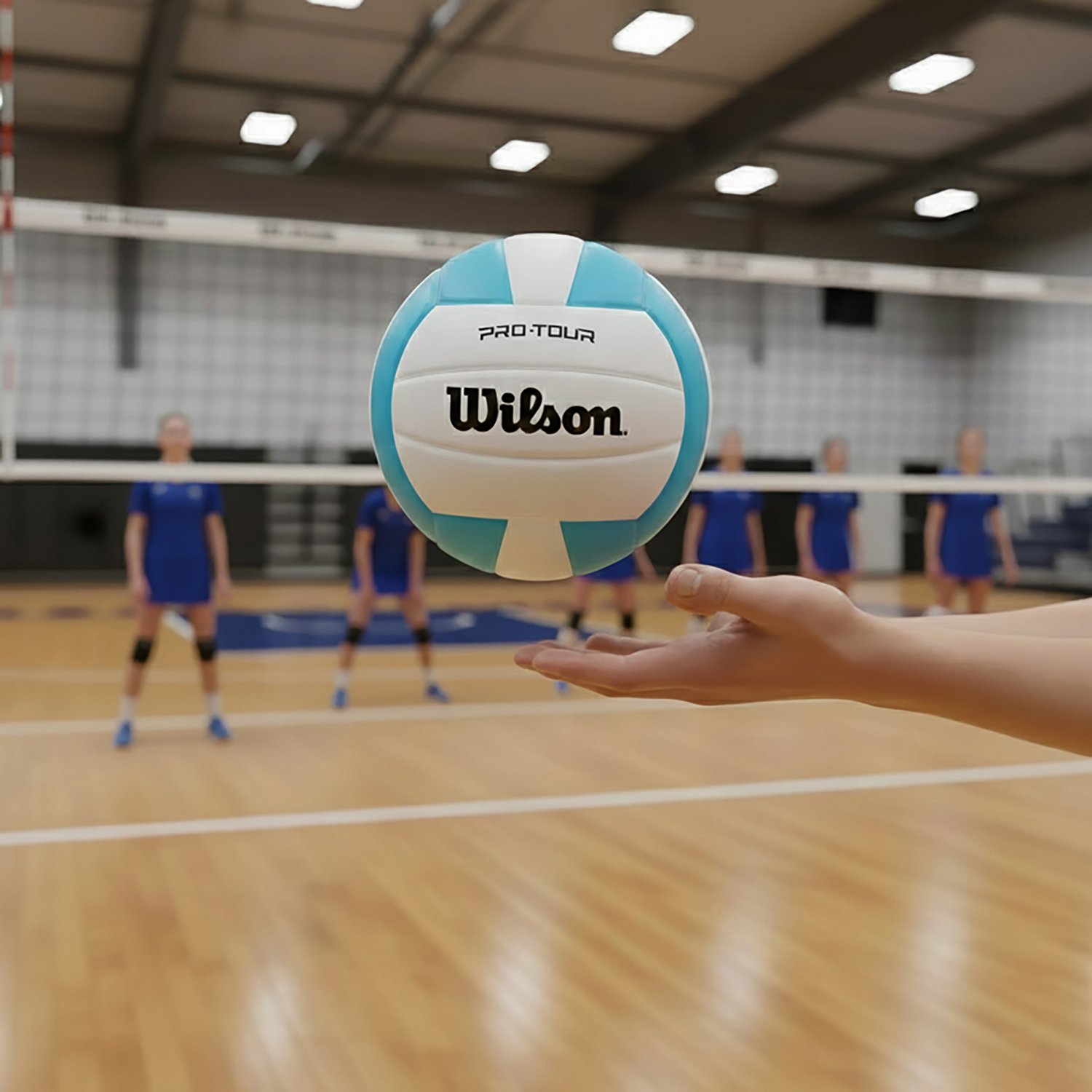  Wilson Pro-Tour Indoor Volleyball - view number 5