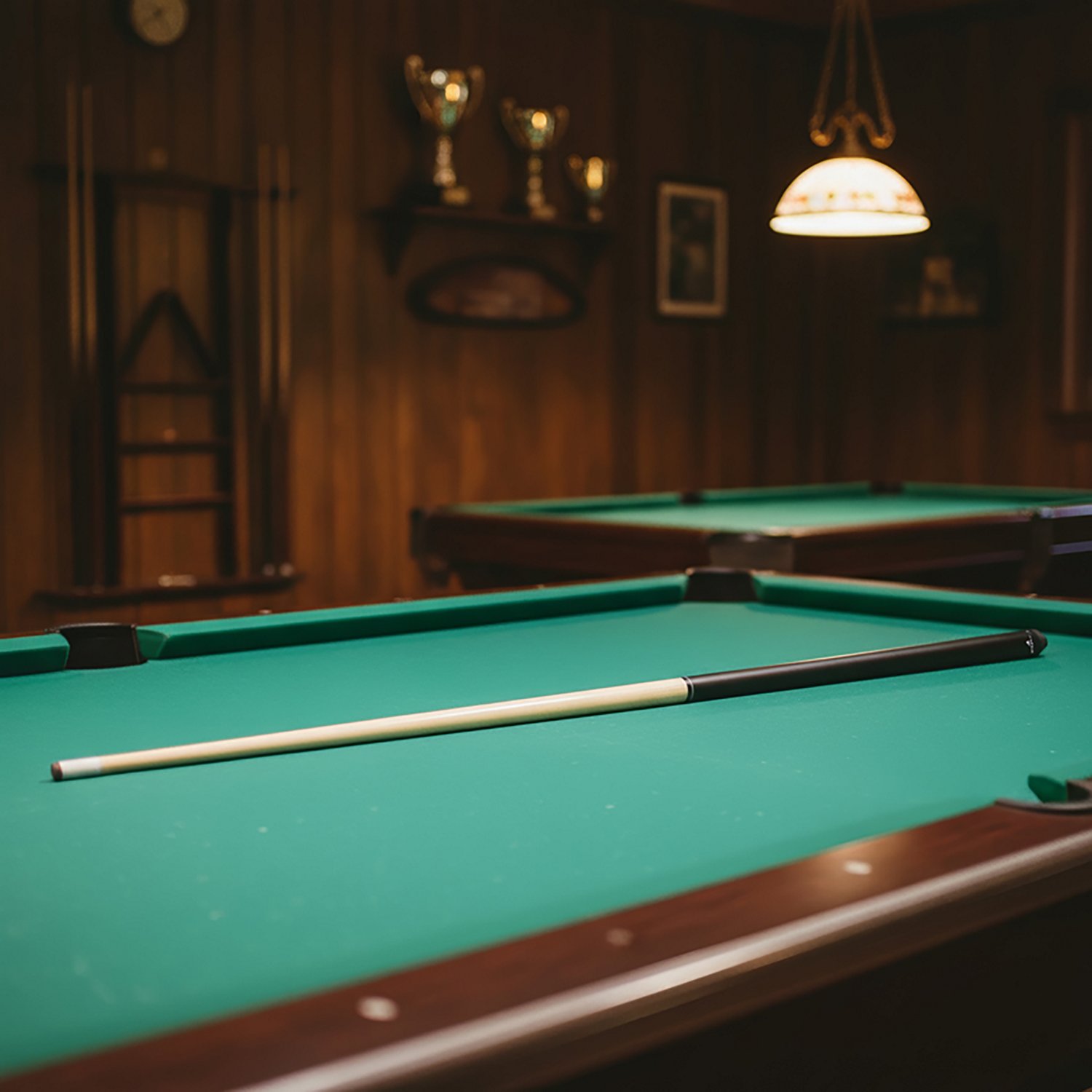 Mizerak 40" One-Piece Shorty Billiard Cue - view number 6