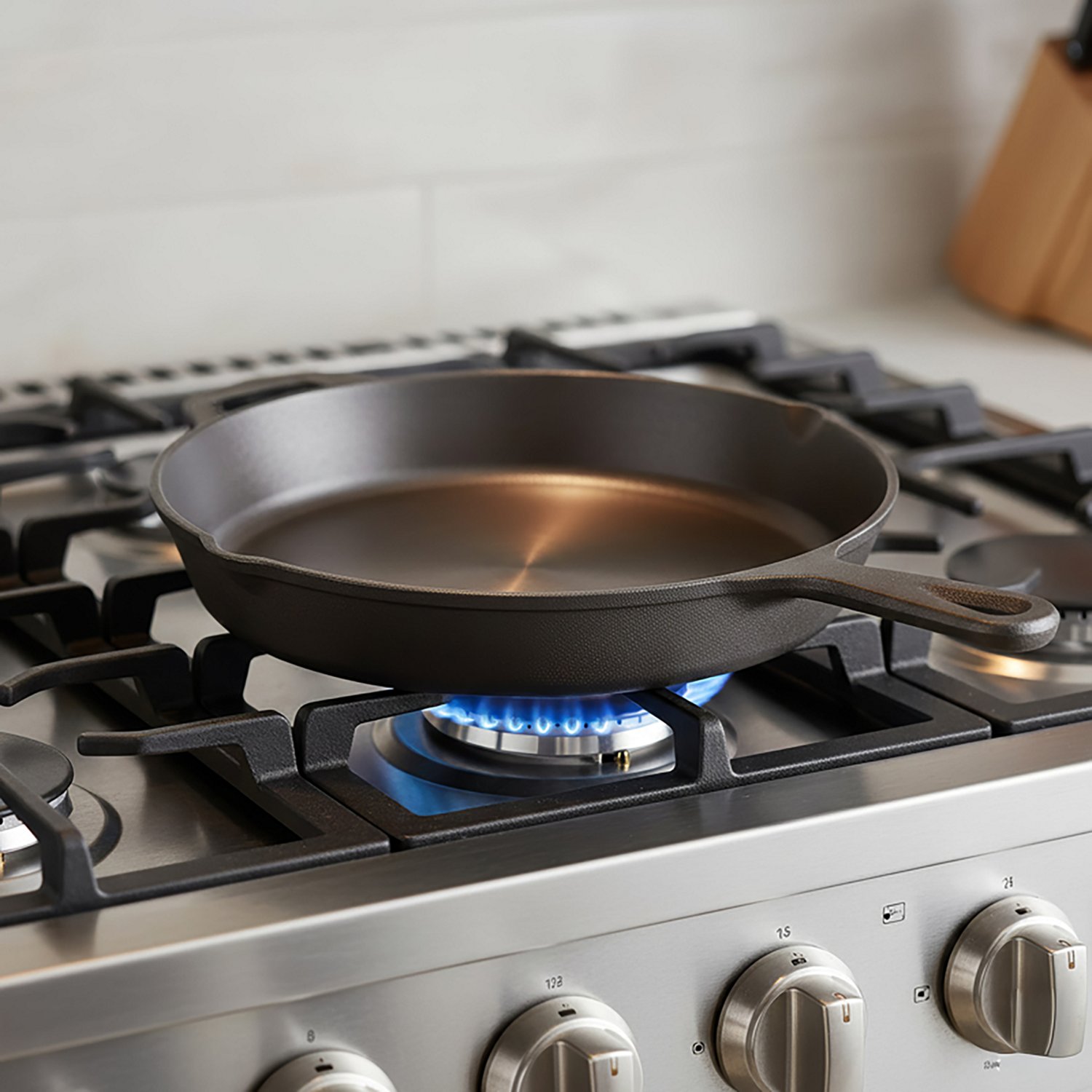 Outdoor Gourmet 10 in Polished Cast Iron Skillet - view number 2