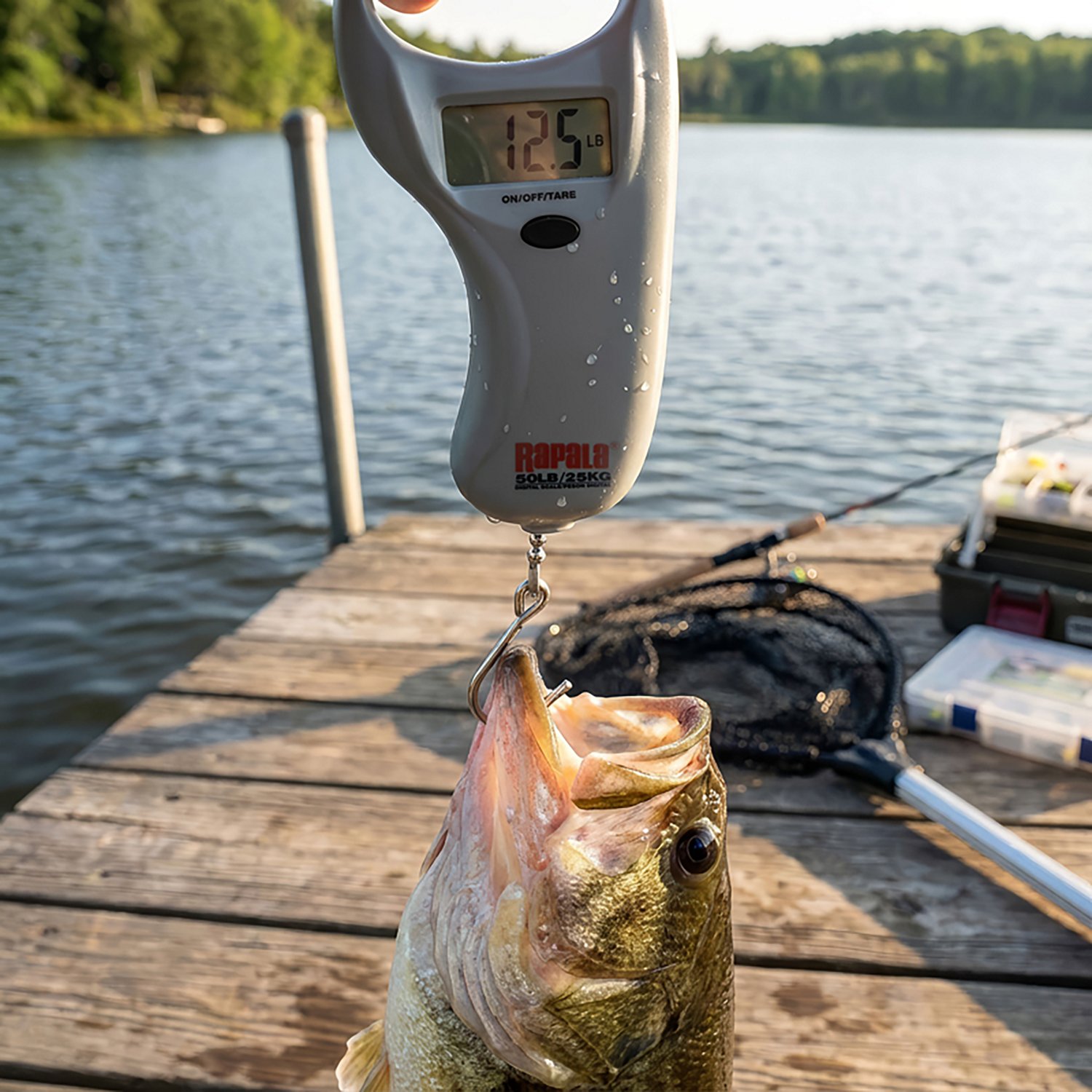 Rapala 50 lb. Digital Scale                                                                                                      - view number 2