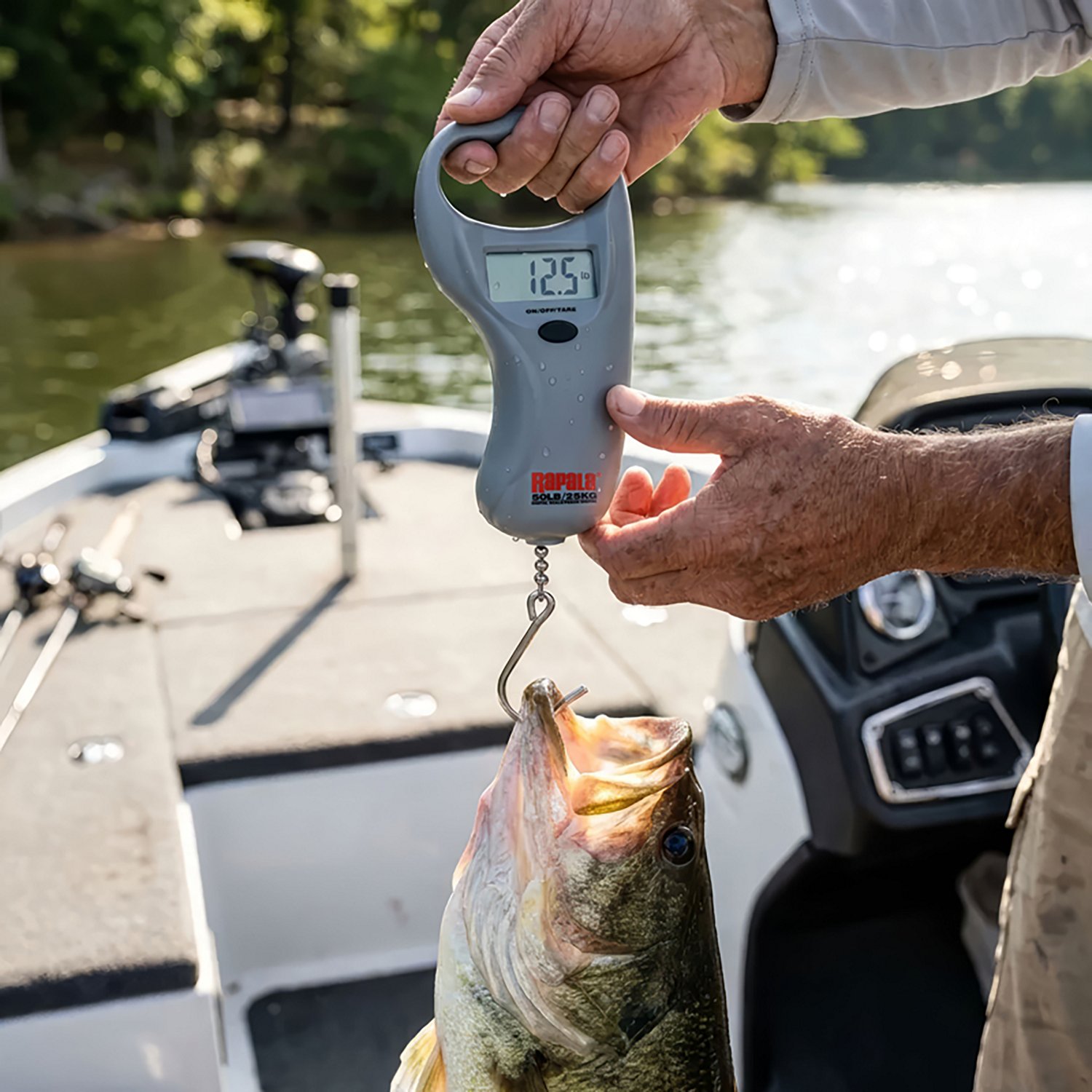Rapala 50 lb. Digital Scale                                                                                                      - view number 3