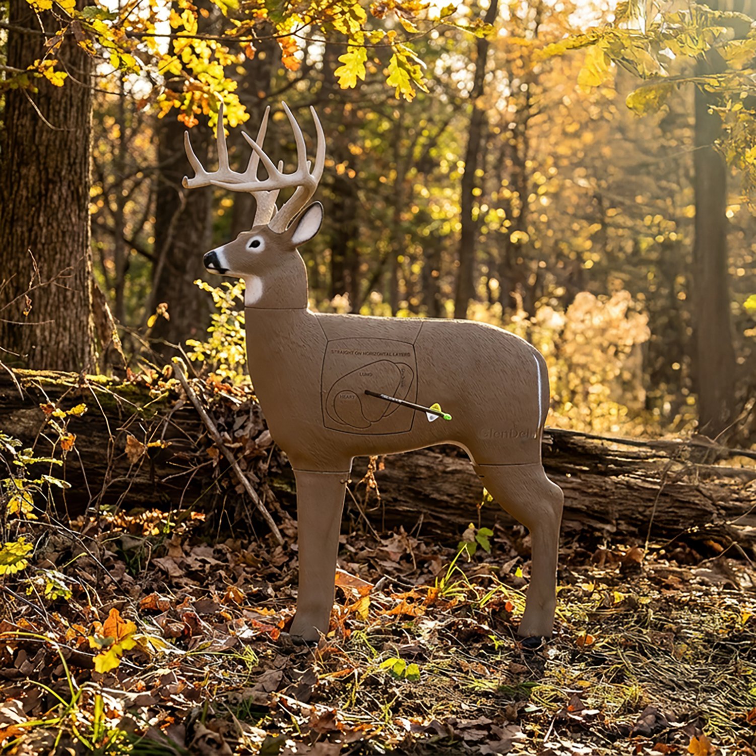 GlenDel 3-D Buck Target - view number 2