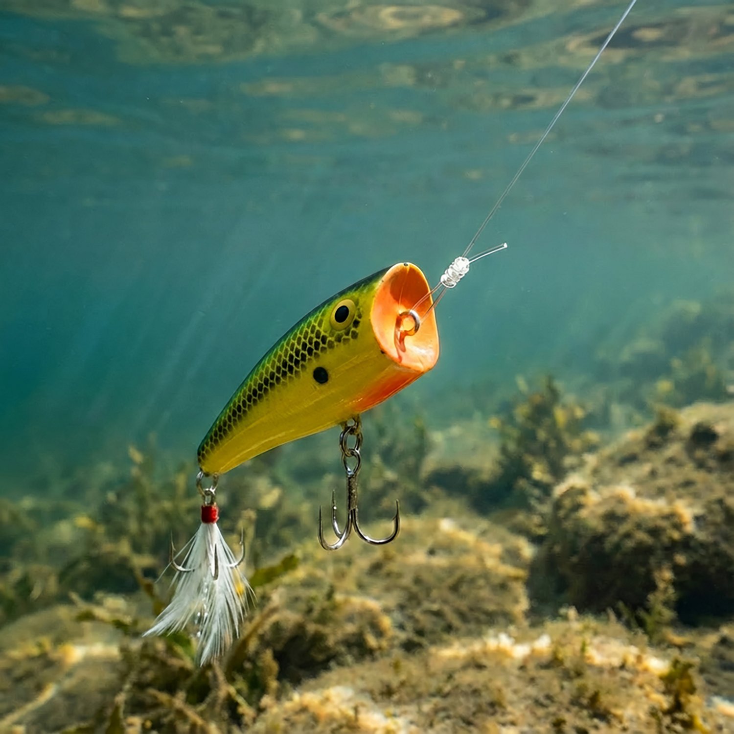 Rebel Pop-R® Triple Threat 2-1/2" Topwater Baits 3-Pack - view number 2