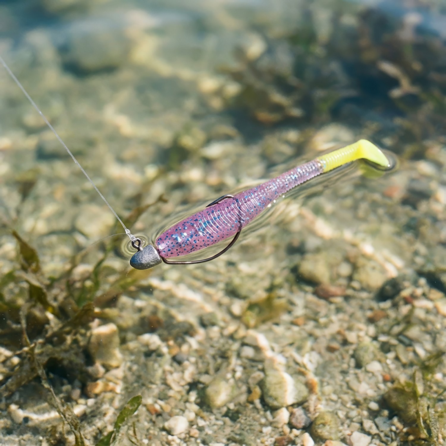 Down South Lures 4-1/2" Salt Water Paddle Tail Swimbaits 8-Pack - view number 2