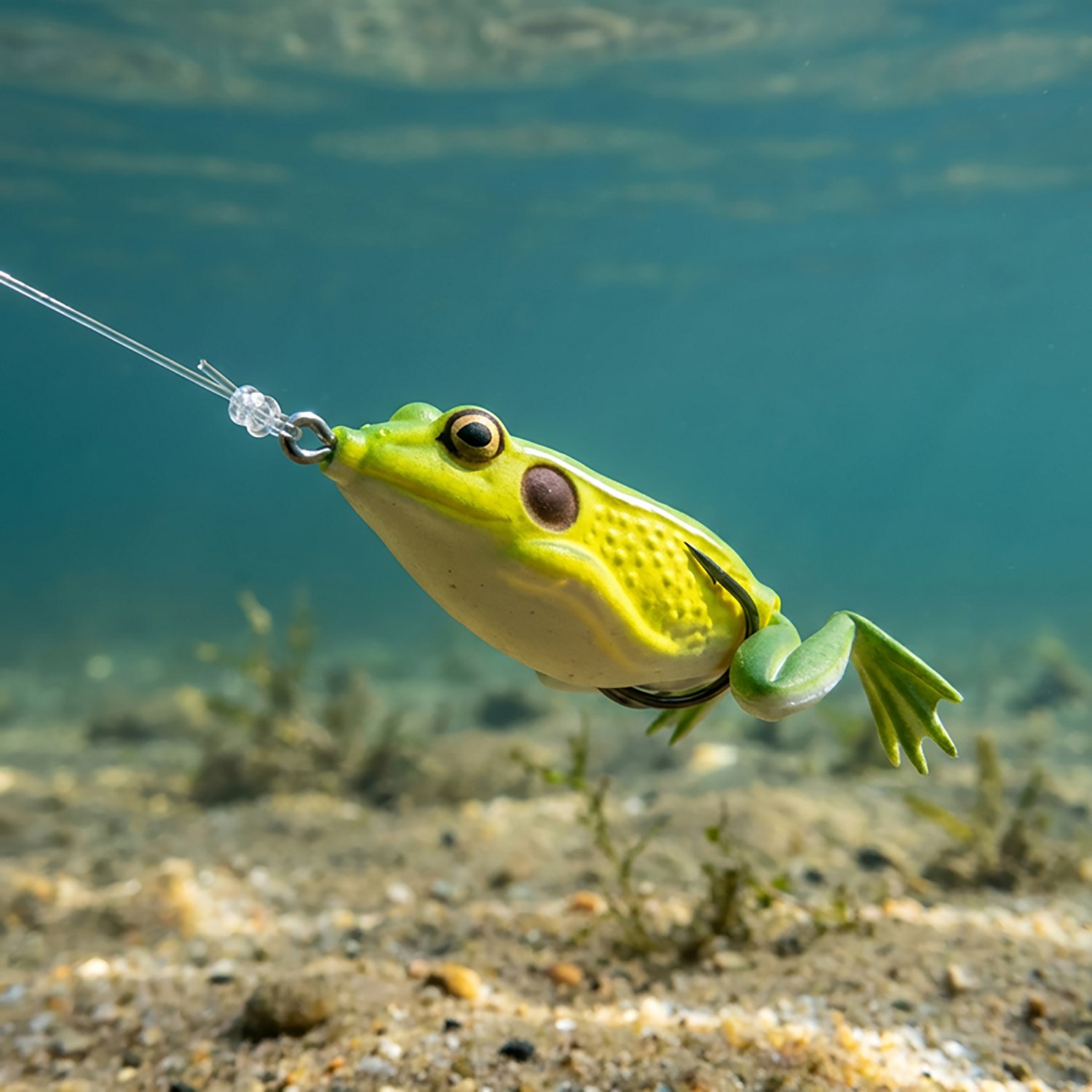 Lunkerhunt 1/4 oz Pocket Frog - view number 2