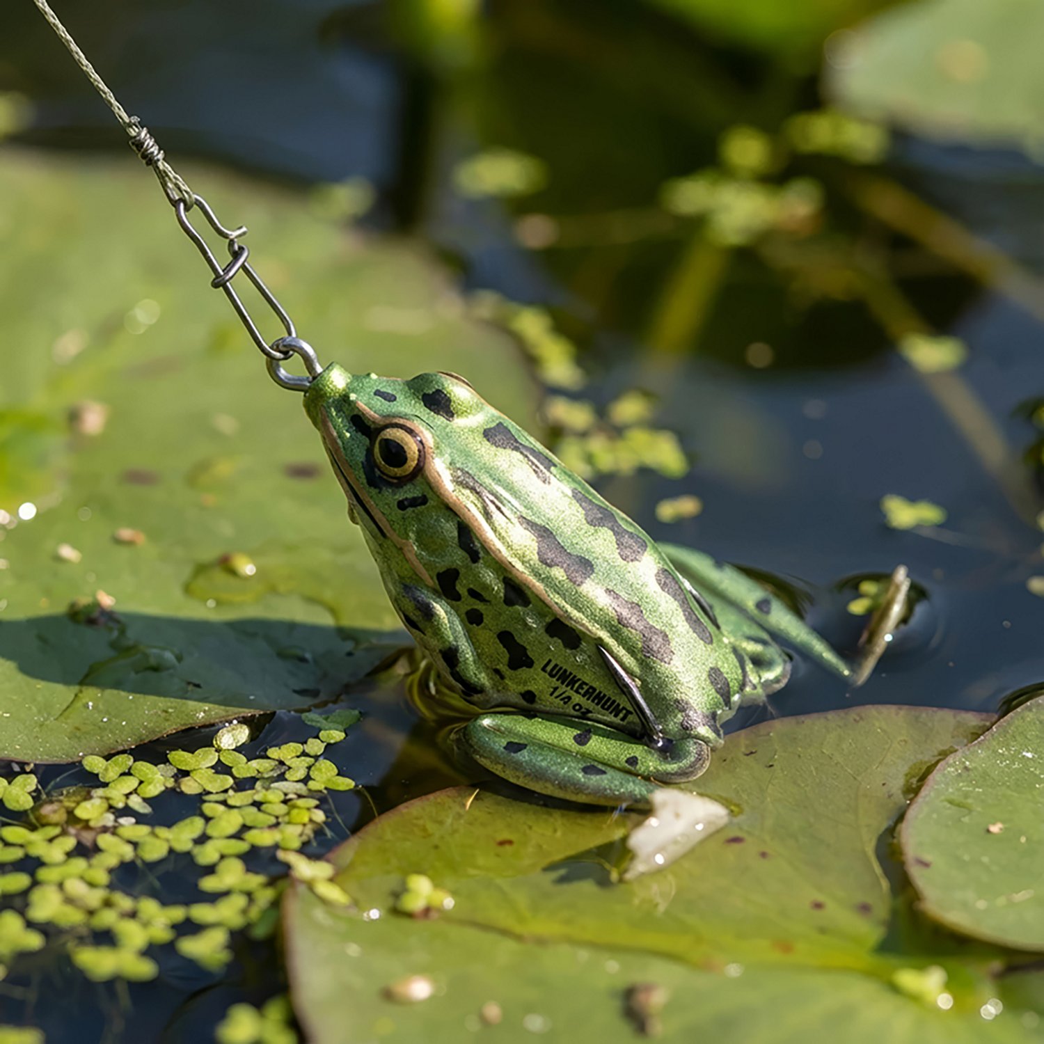 Lunkerhunt 1/4 oz Pocket Frog - view number 2