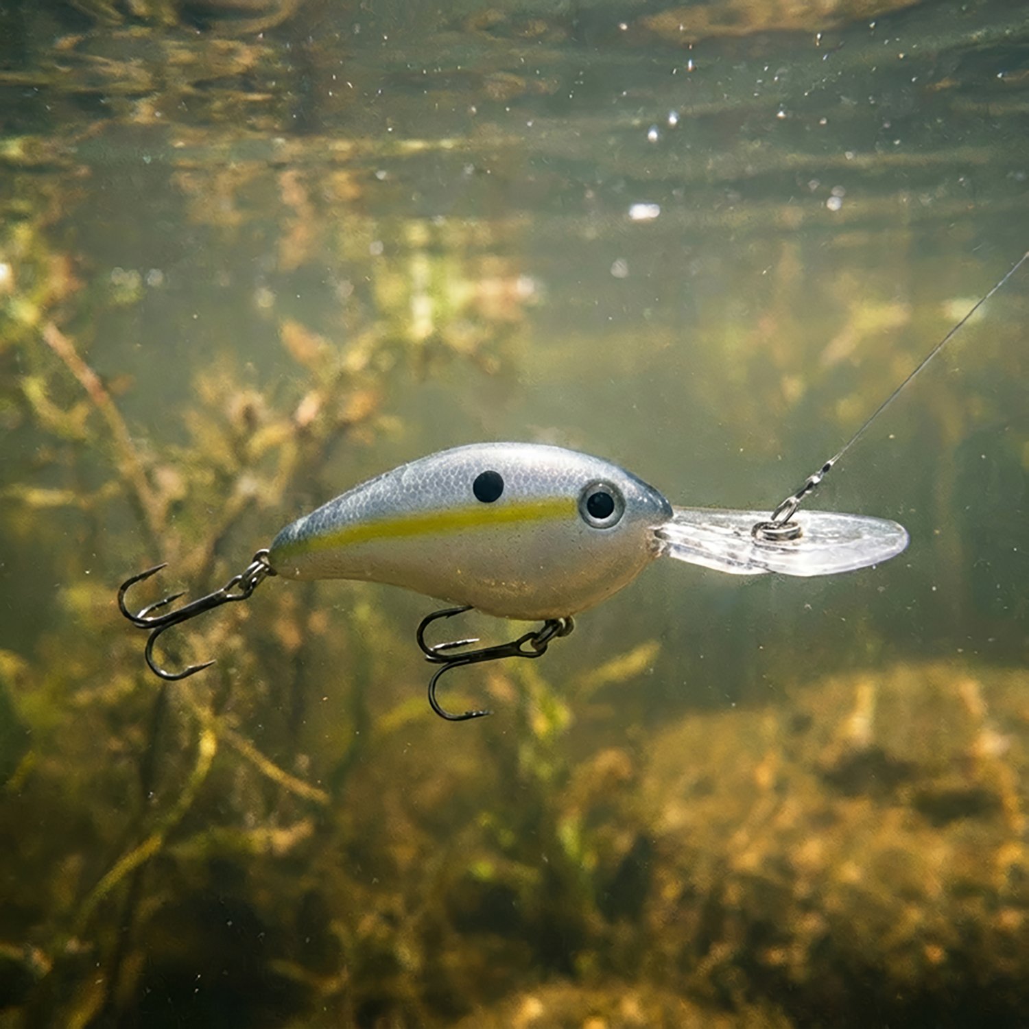 Strike King 8XD Pro-Model 1-1/2 oz. Crankbait                                                                                    - view number 2