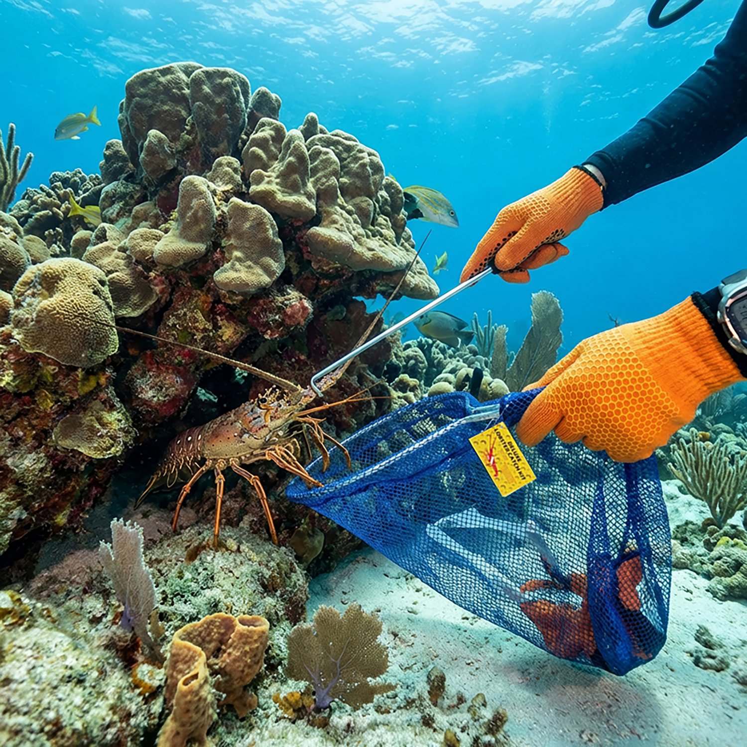 Marine Sports Deluxe Lobster Kit                                                                                                 - view number 2