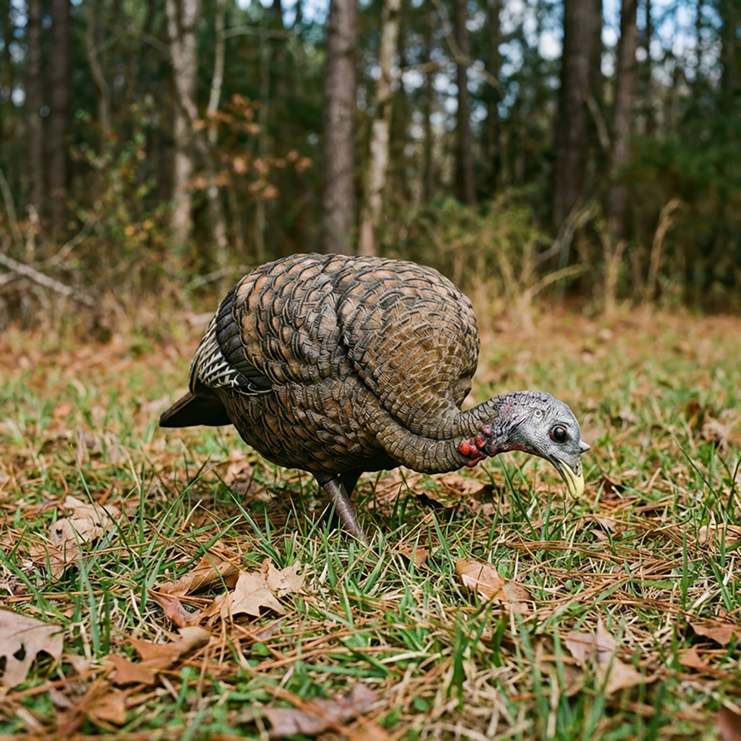 Avian-X LCD Feeder Hen Decoy - view number 3