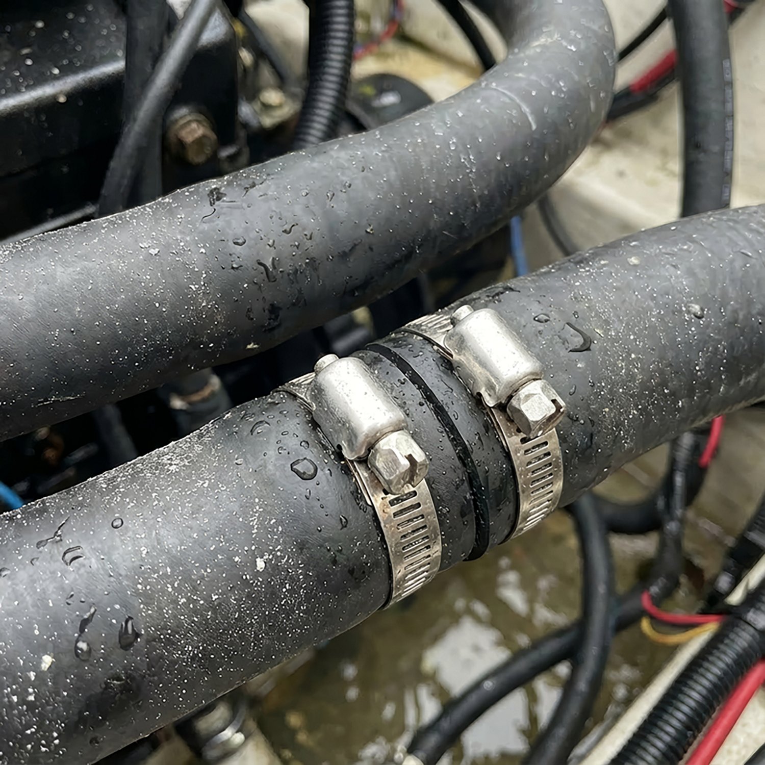 Marine Raider Stainless-Steel Hose Clamps 2-Pack - view number 2