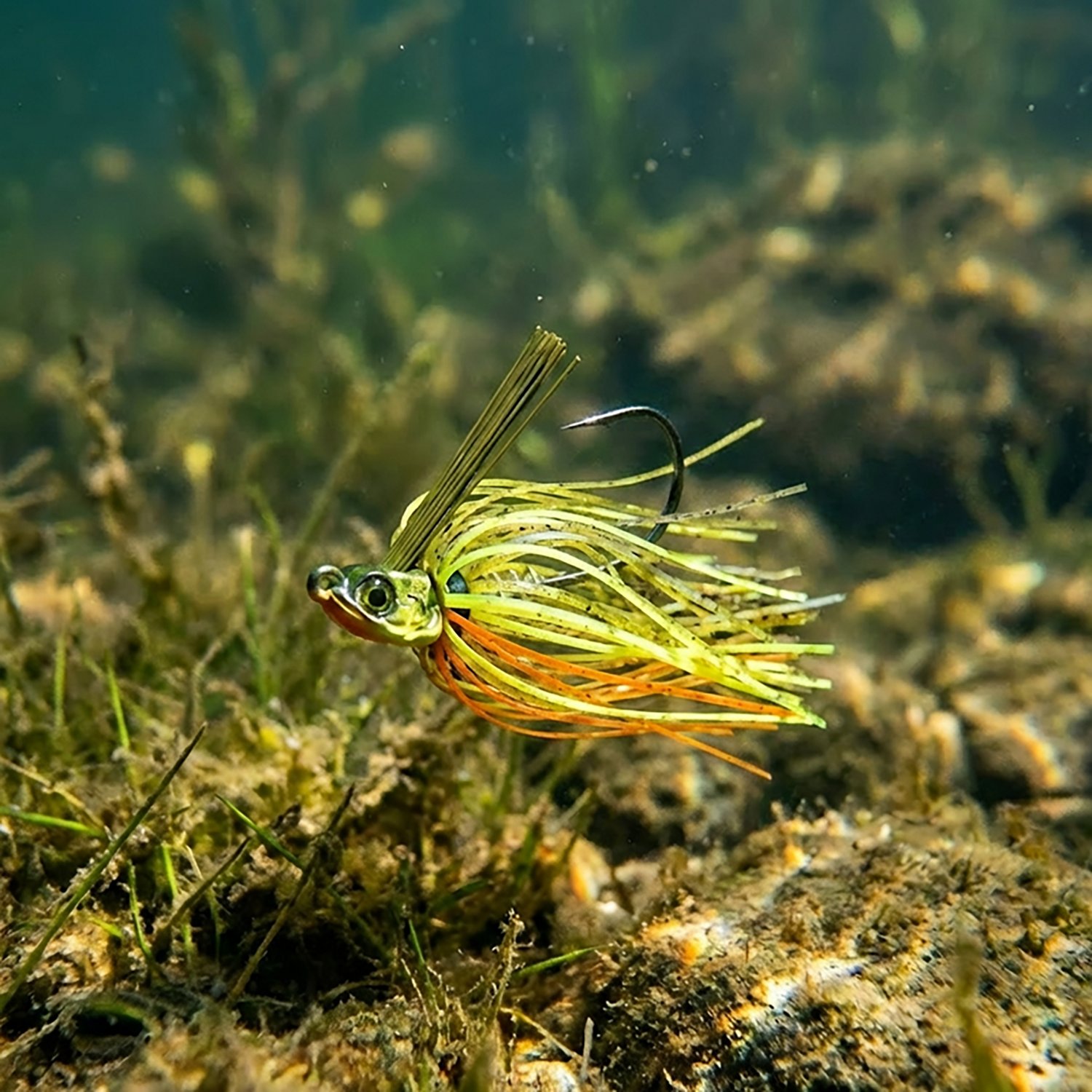 6th Sense Divine™ Custom Swim Jig - view number 2