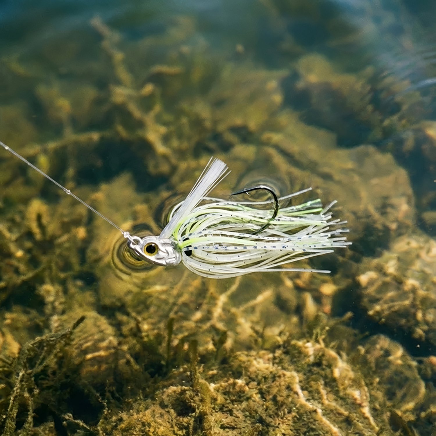 6th Sense Divine™ Custom Swim Jig - view number 2