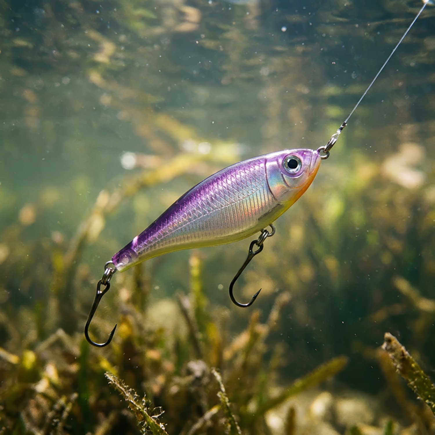 Rapala® X-Rap® Twitchin' Mullet - view number 2