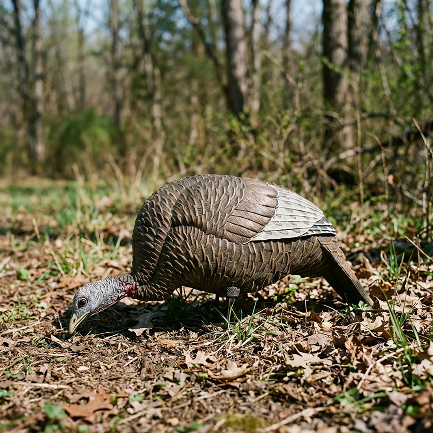 Flextone Thunder Chick 3-D Feeder Turkey Decoy - view number 2