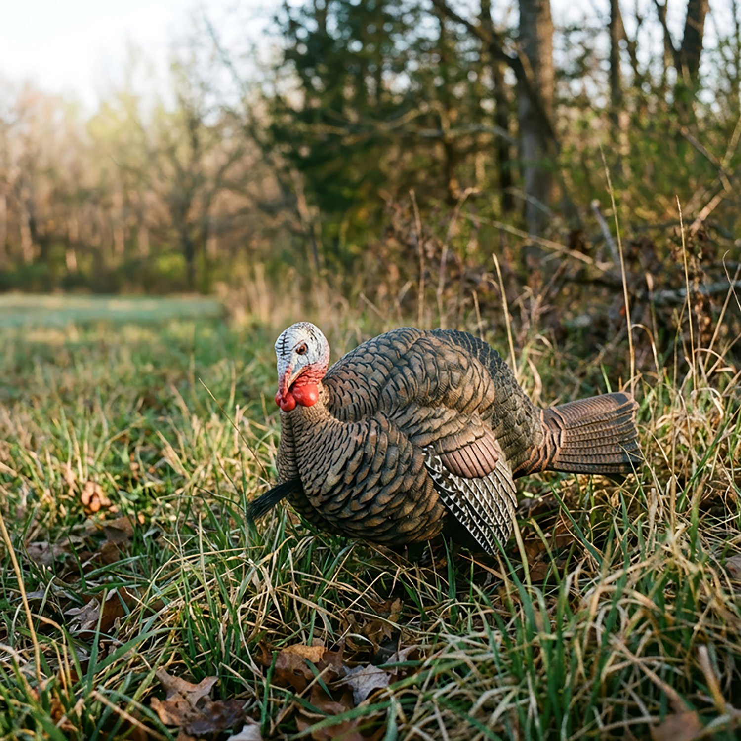 Avian-X Half-Strut Jake Turkey Decoy - view number 2