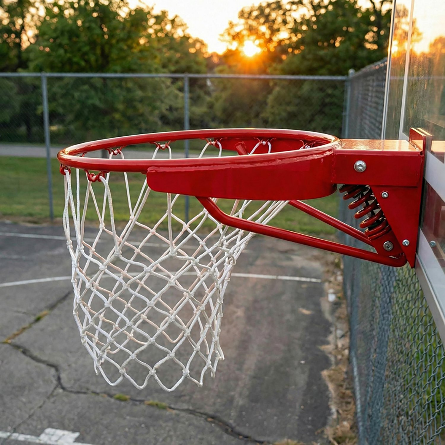 Goalsetter Heavy-Duty Breakaway Rim                                                                                              - view number 2