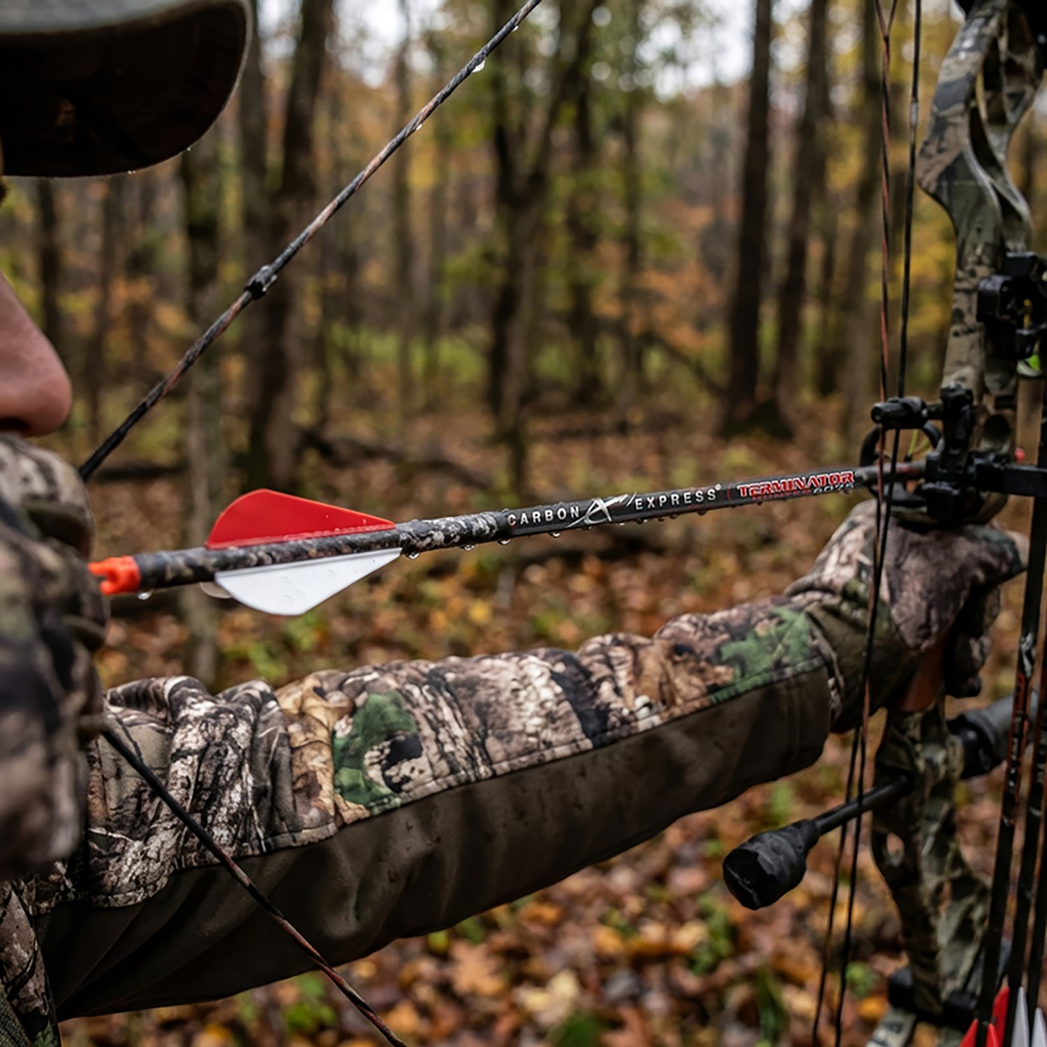 Carbon Express Terminator Express Hunter 60/75 Arrows - view number 3