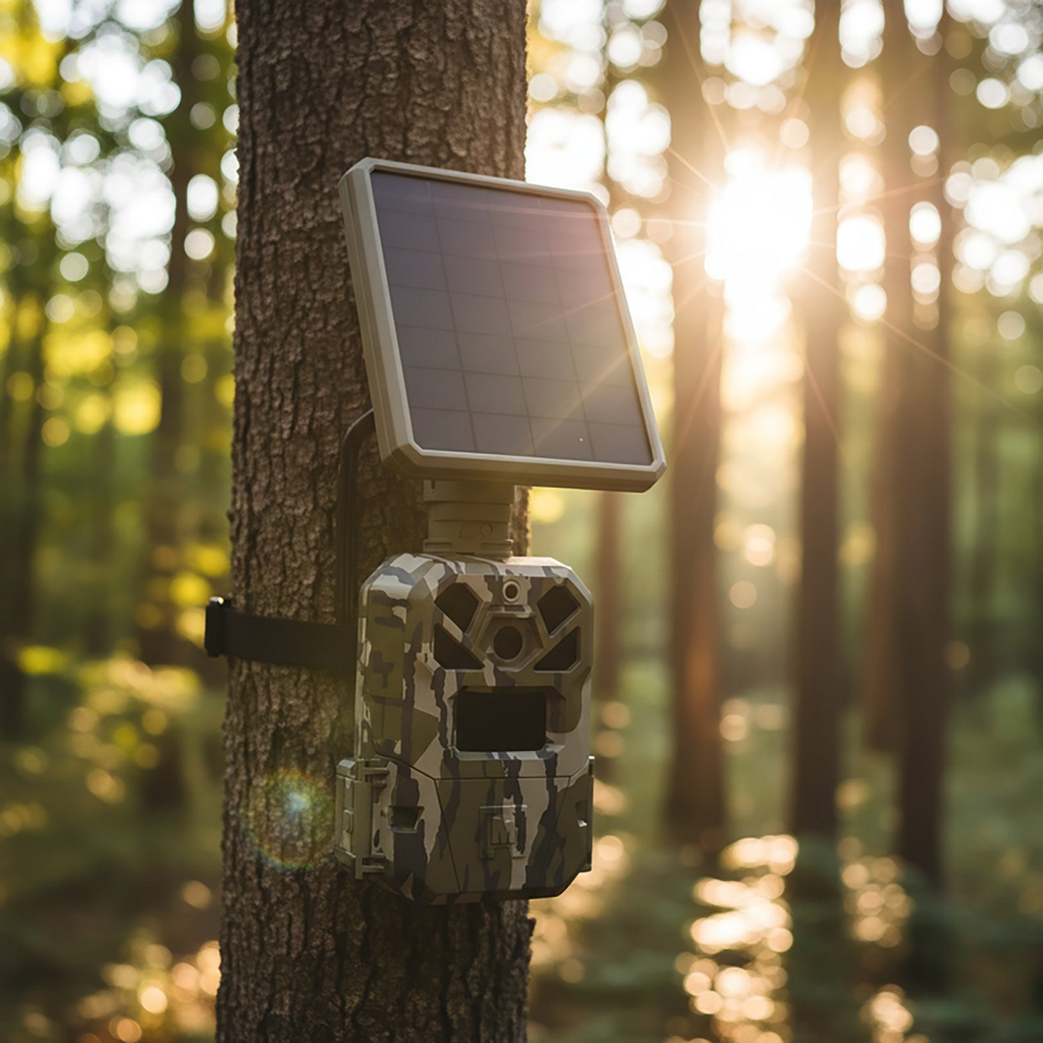 Moultrie Edge Single with Solar Cellular MP Trail Camera - view number 8