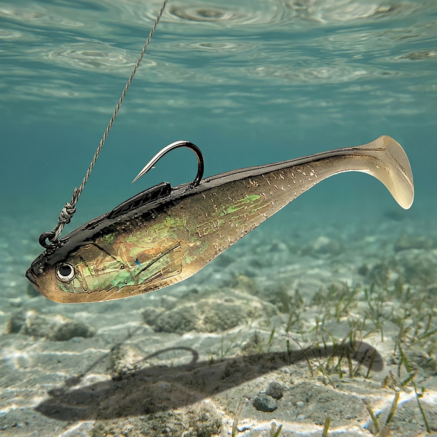 Tsunami Holographic 6 in Single Hook Swim Baits - view number 2