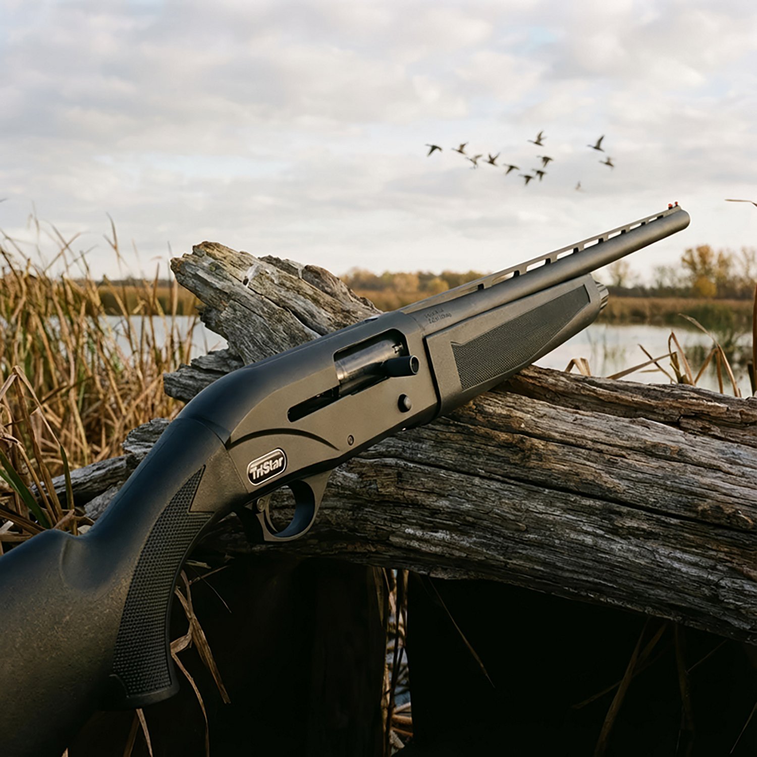 Tristar Products Viper G2 Synthetic 12 Gauge Semiautomatic Shotgun - view number 2