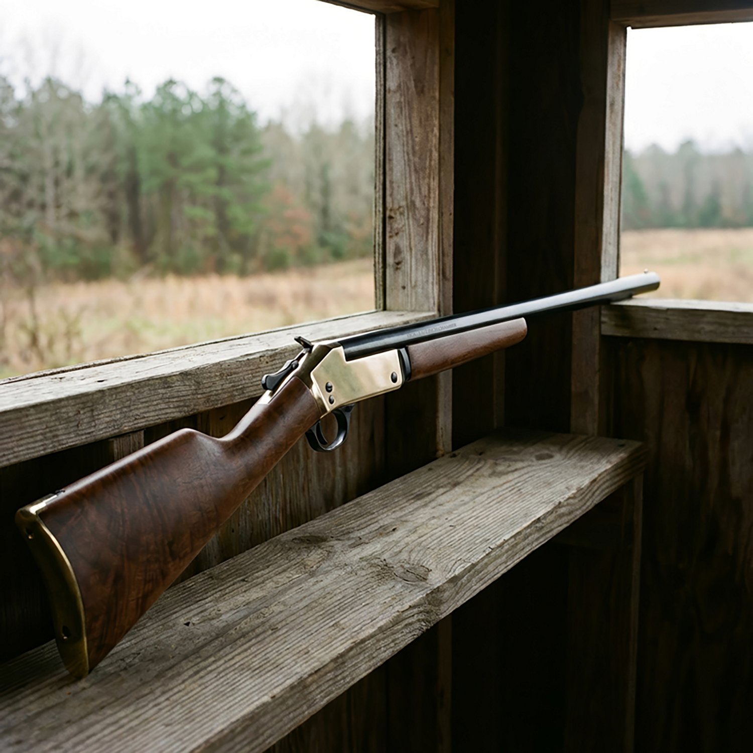 Henry Singleshot .45-70 Government Break-Open Rifle - view number 2