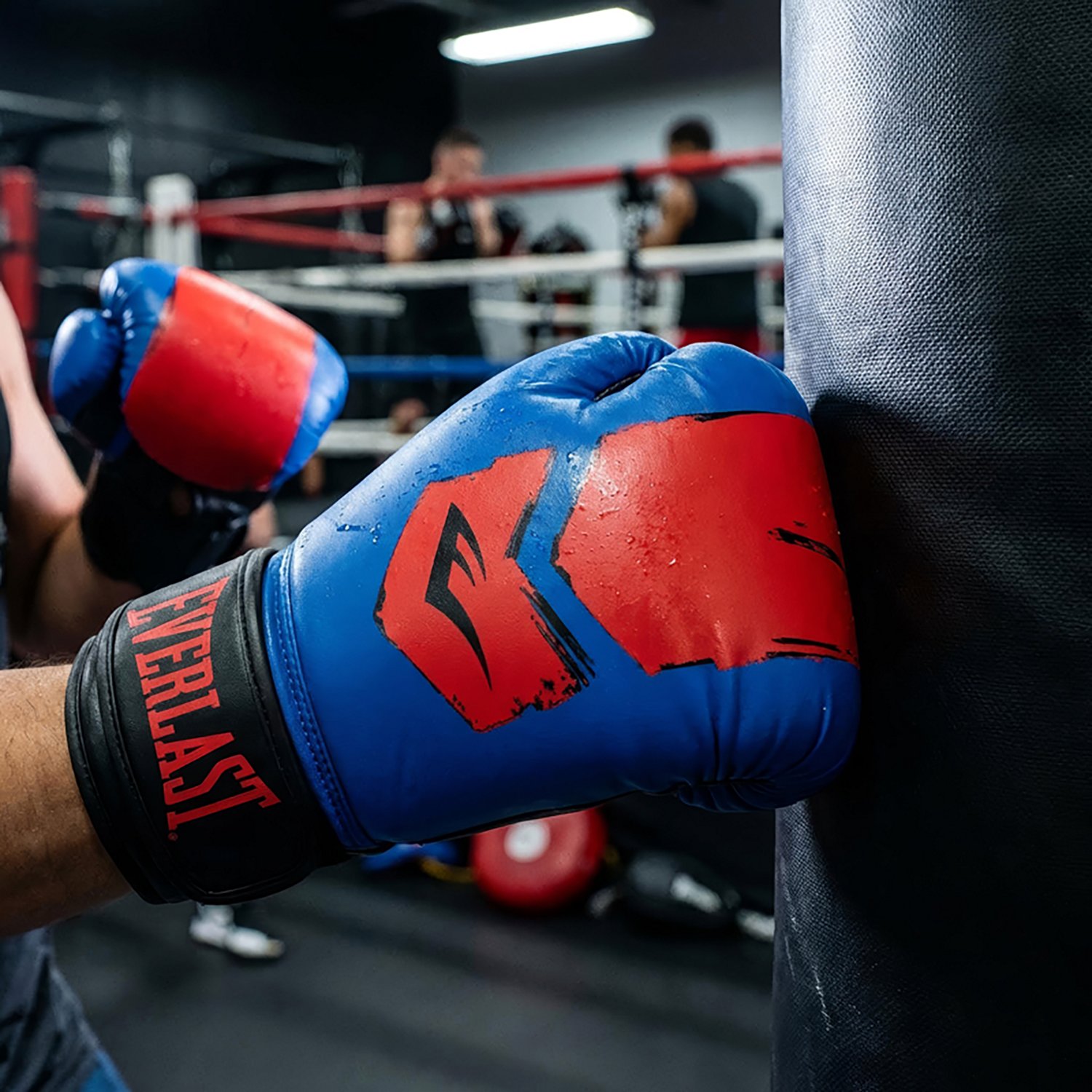 Everlast Youth Prospect Boxing Gloves - view number 3