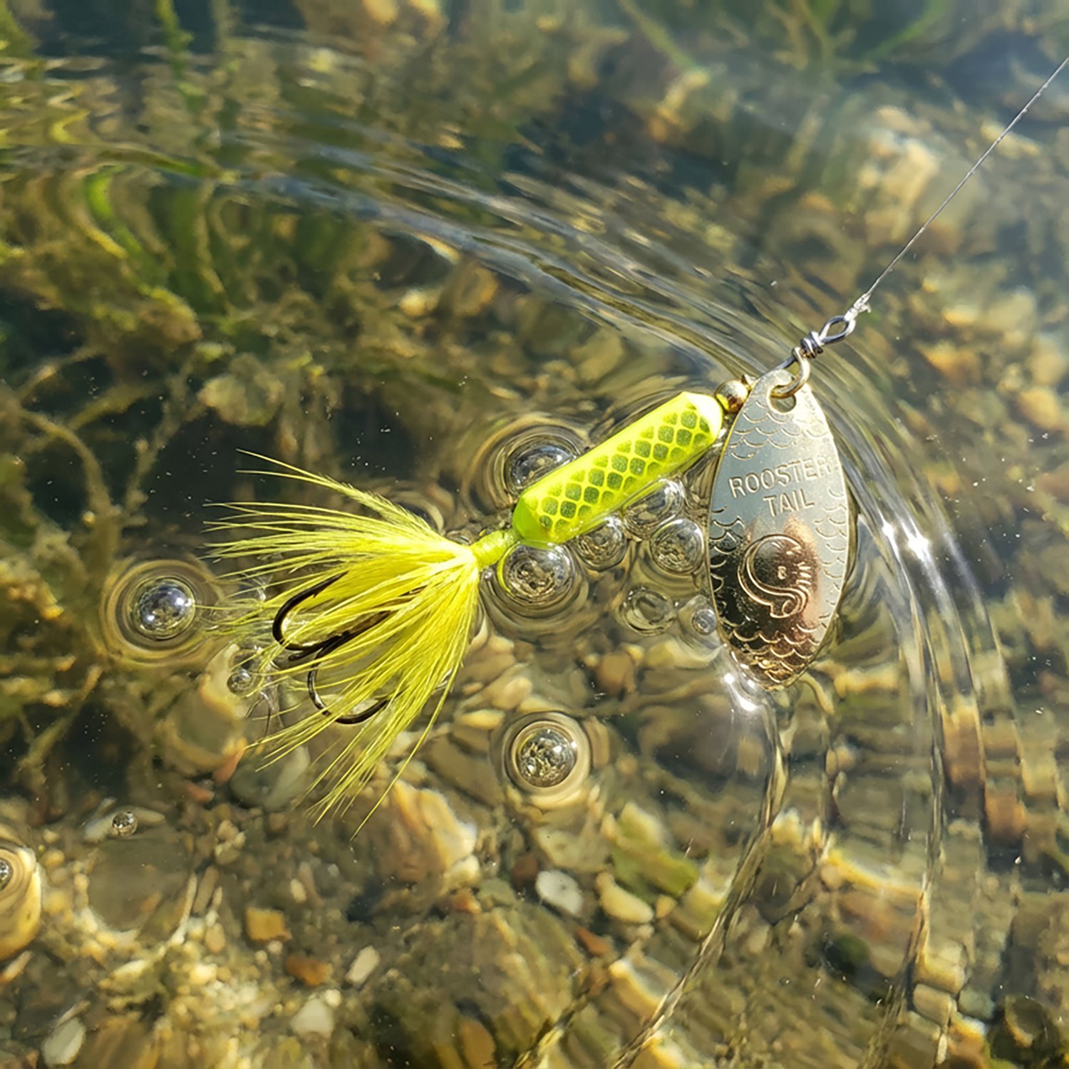 Worden's Rooster Tail 1/16 oz PDQ Baits 6-Pack                                                                                   - view number 2