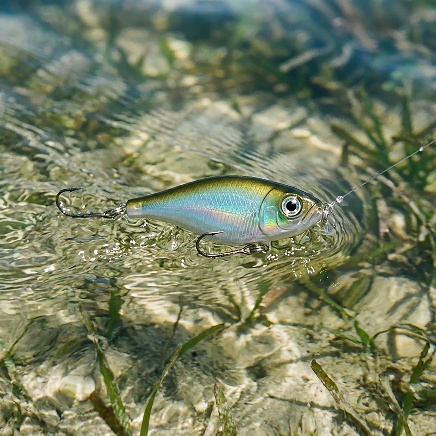 Rapala X-Rap Twitchin' Mullet Lure | Academy