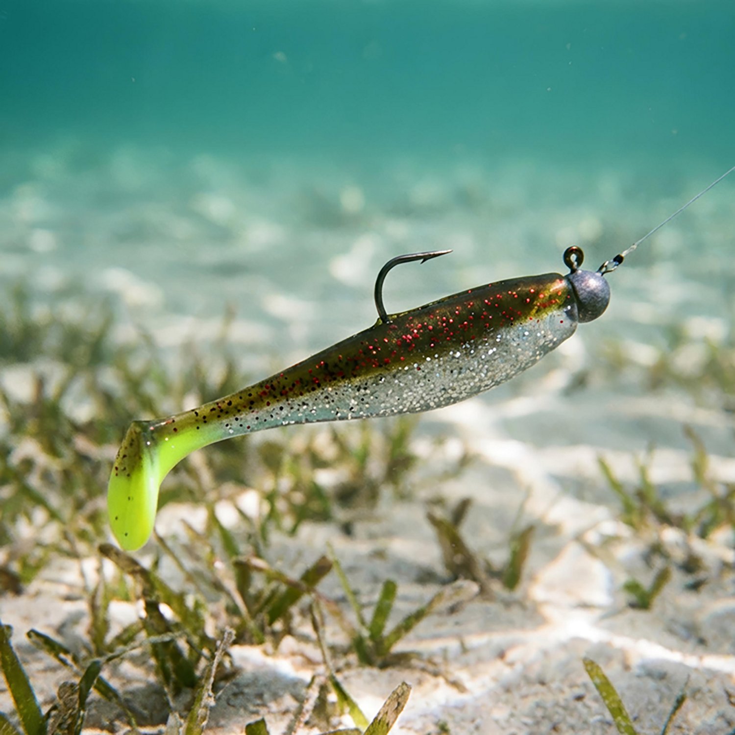 Down South Lures Burner Shad Series 3.5 in Baits 7-Pack                                                                          - view number 2