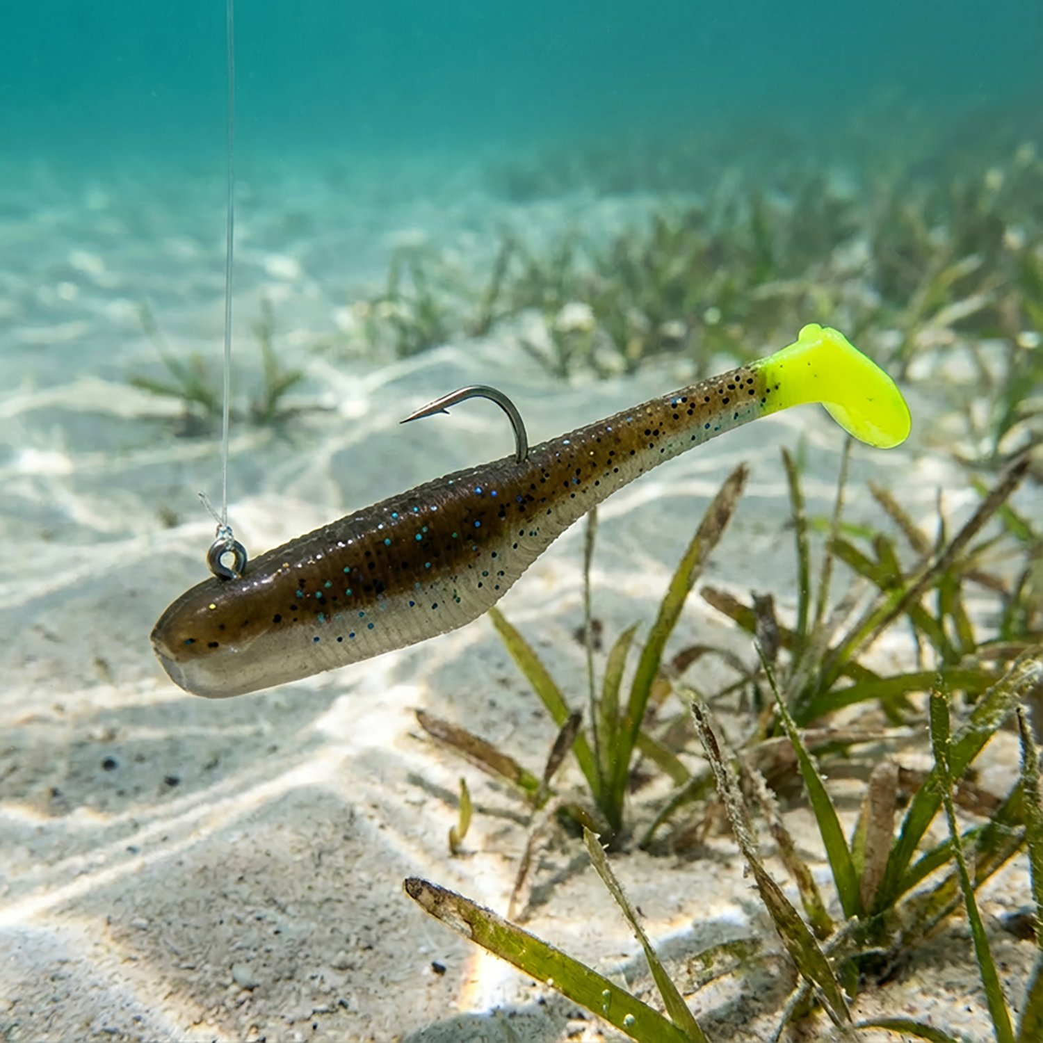 Down South Lures Burner Shad Series 3.5 in Baits 7-Pack                                                                          - view number 2