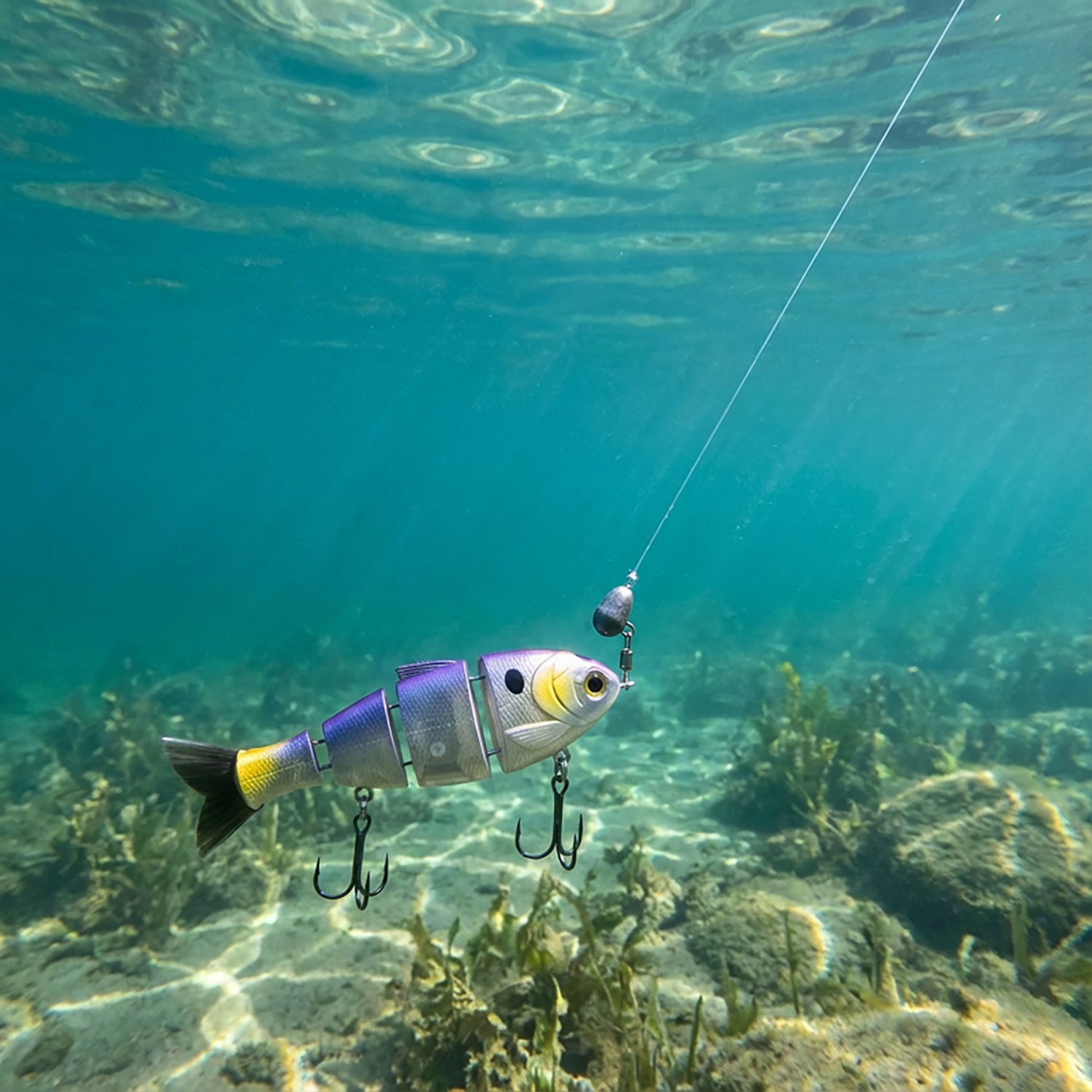 Catch Co. Mike Bucca's Baby Bull Shad                                                                                            - view number 2
