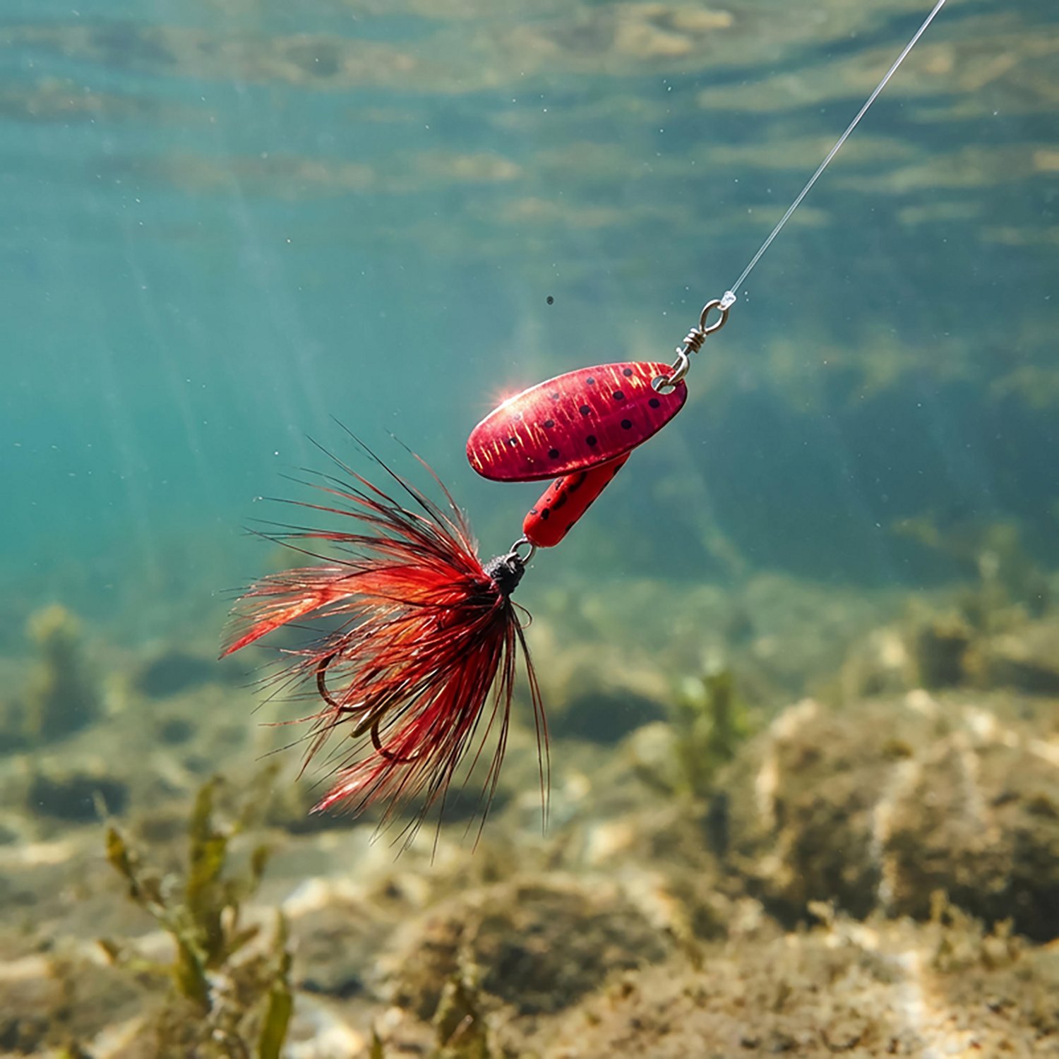 South Bend Prism Assorted Spinners 6-Pack                                                                                        - view number 2