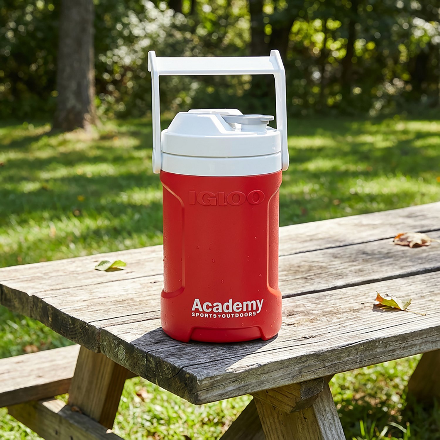 Igloo Academy Sports + Outdoors Latitude 64 fl oz Jug - view number 2
