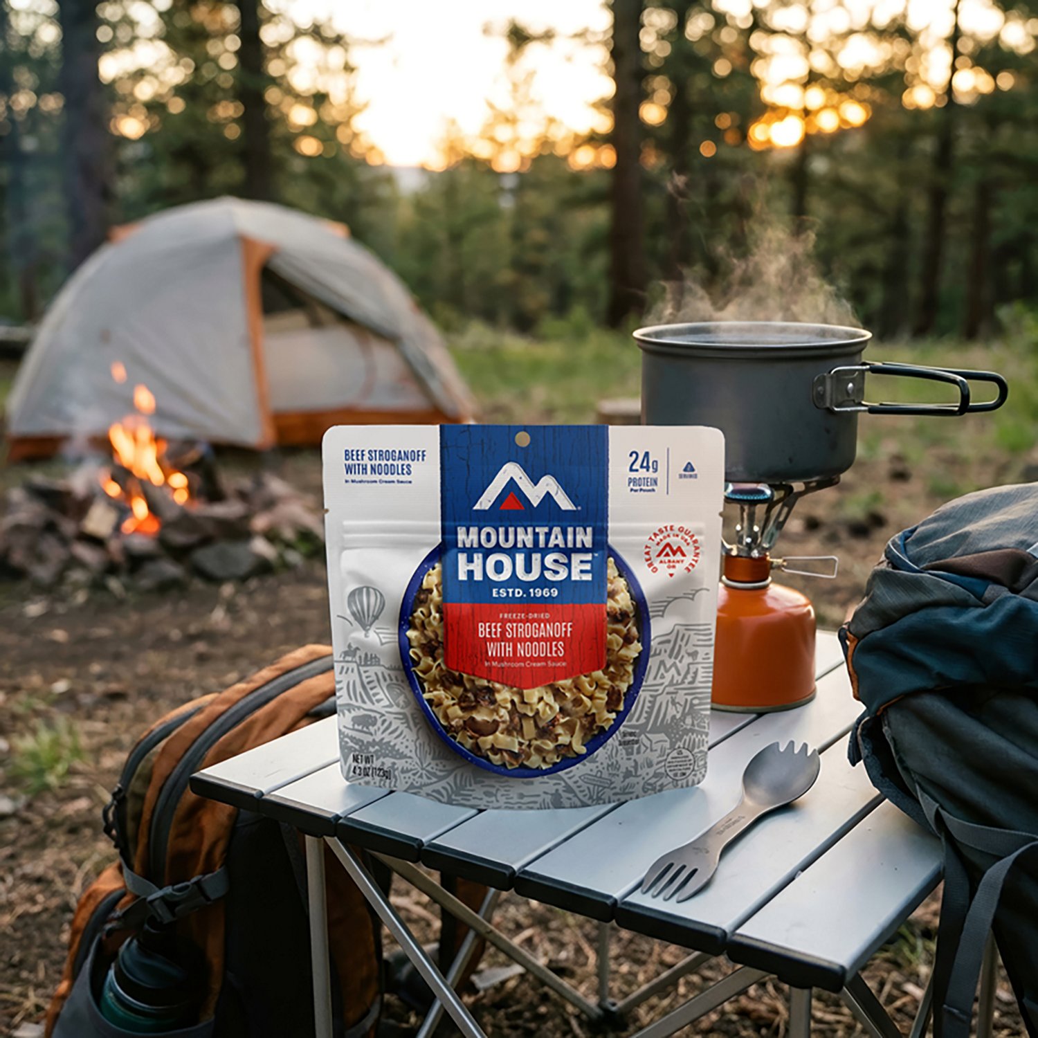 Mountain House Beef Stroganoff - view number 7