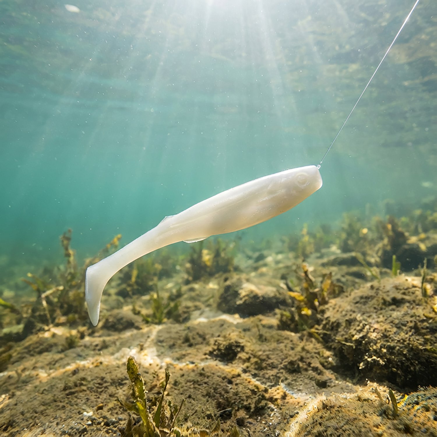Berkley Gulp! 4 in Paddleshad Swimbait - view number 2
