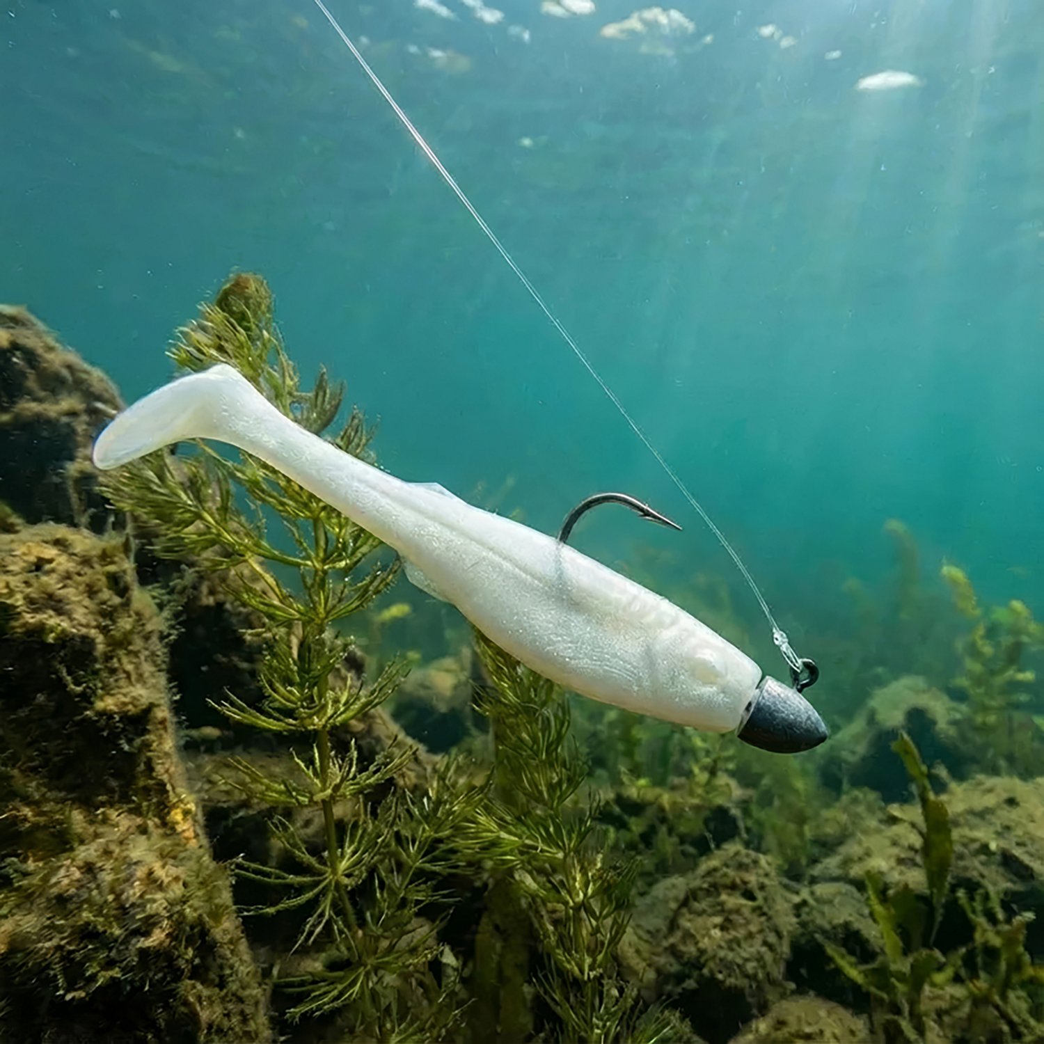 Berkley Gulp! 4 in Paddleshad Swimbait - view number 2