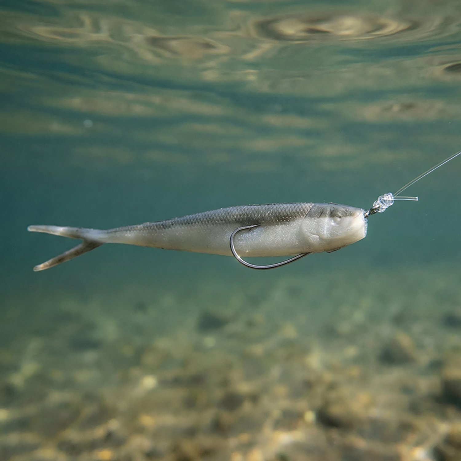 Berkley Gulp! Minnow Soft Bait - view number 2
