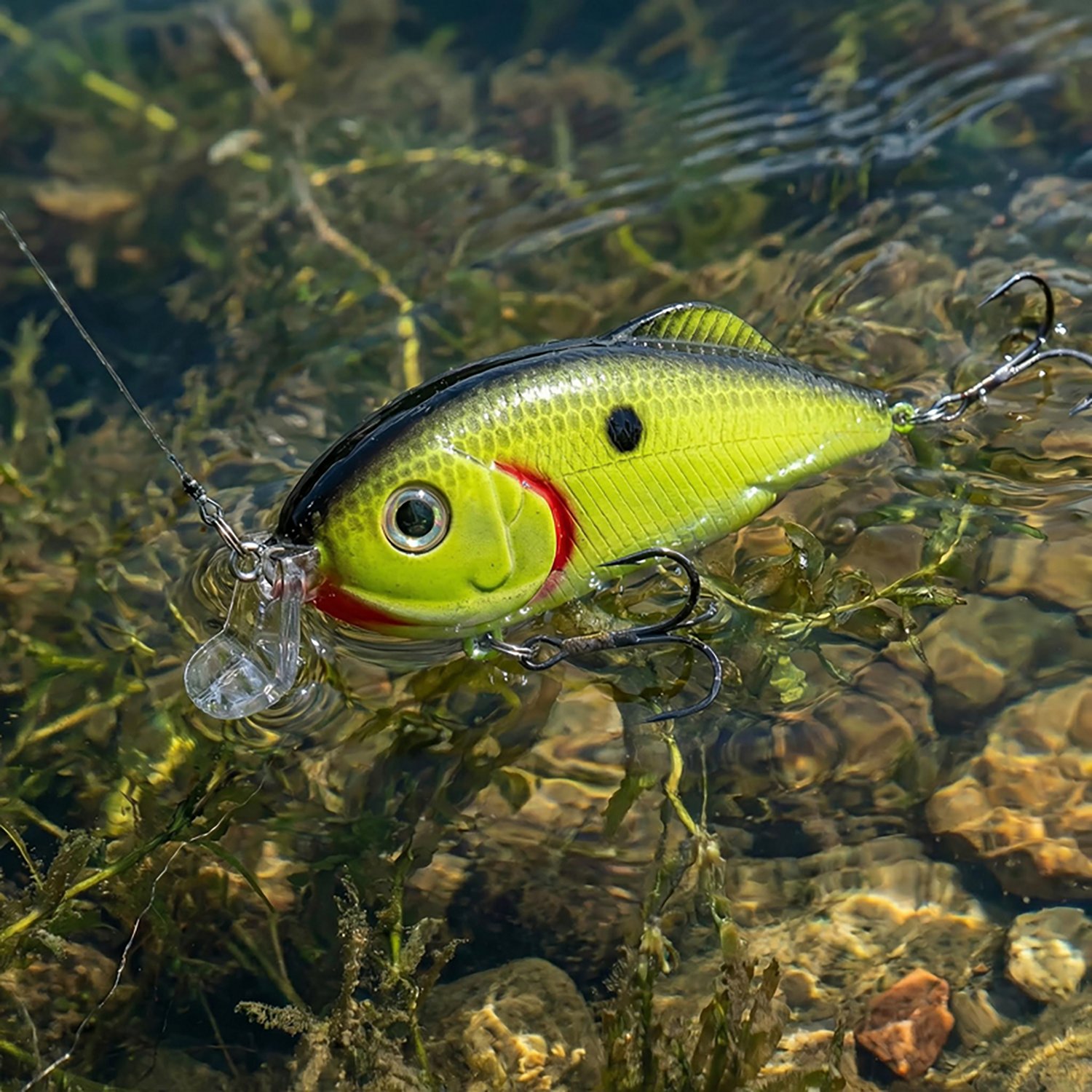 Strike King Hybrid Hunter Jr 3 in Crankbait | Academy
