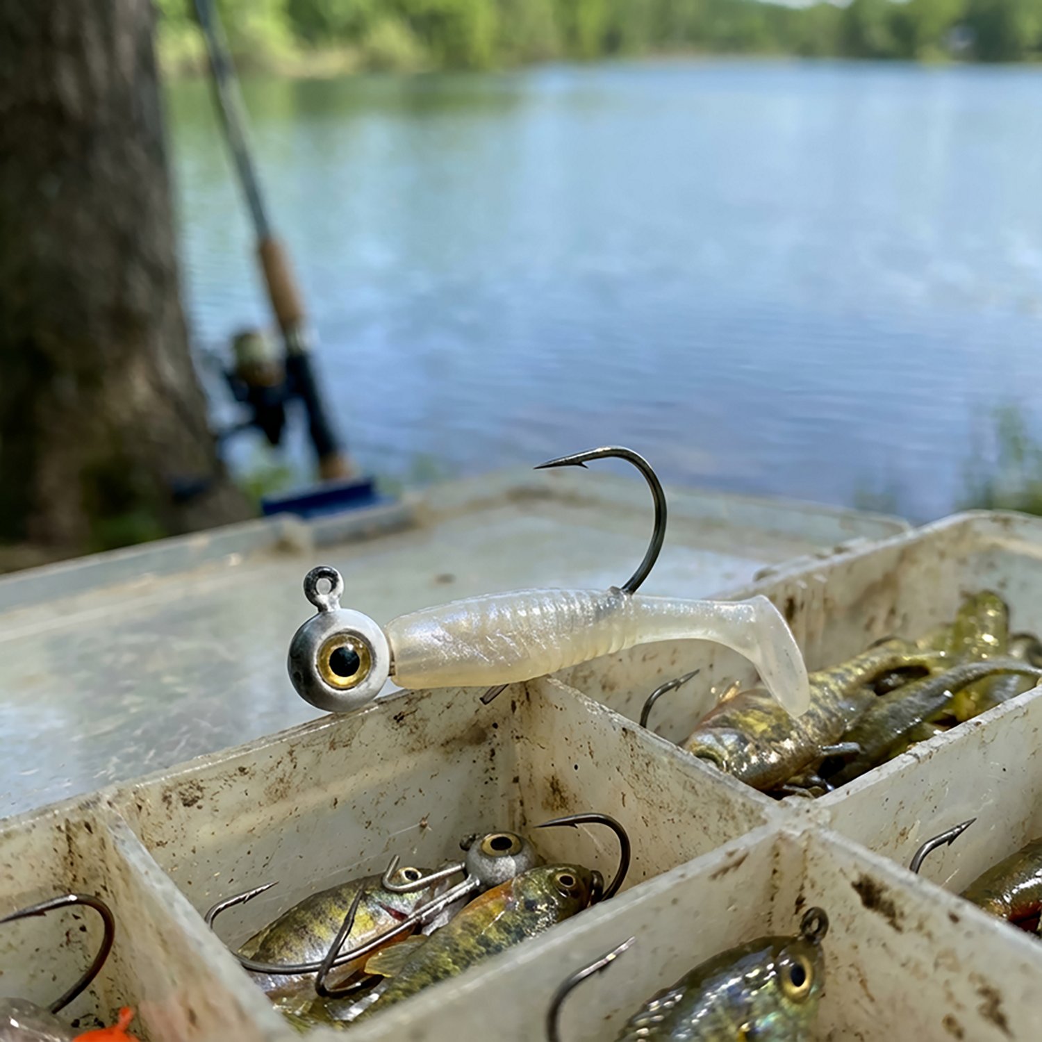 Big Bite Baits BBJ Elite 1/8 oz Jigheads 6-Pack | Academy