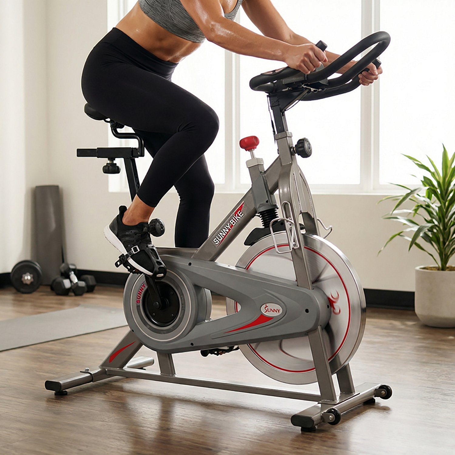 Sunny Health &Fitness Synergy Magnetic Indoor Cycling Bike