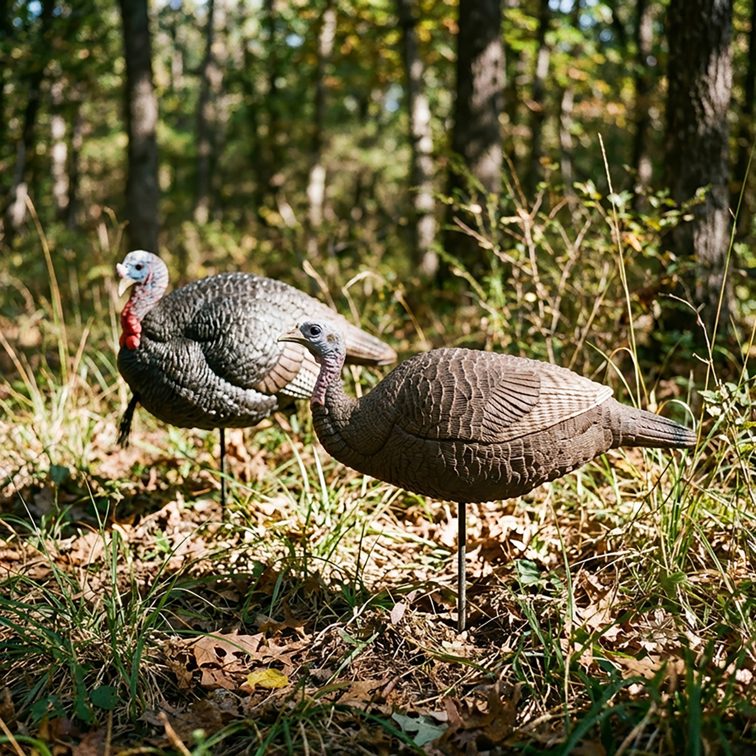 Primos Lil Gobstopper Lite Hen and Jake Decoy Combo                                                                              - view number 2