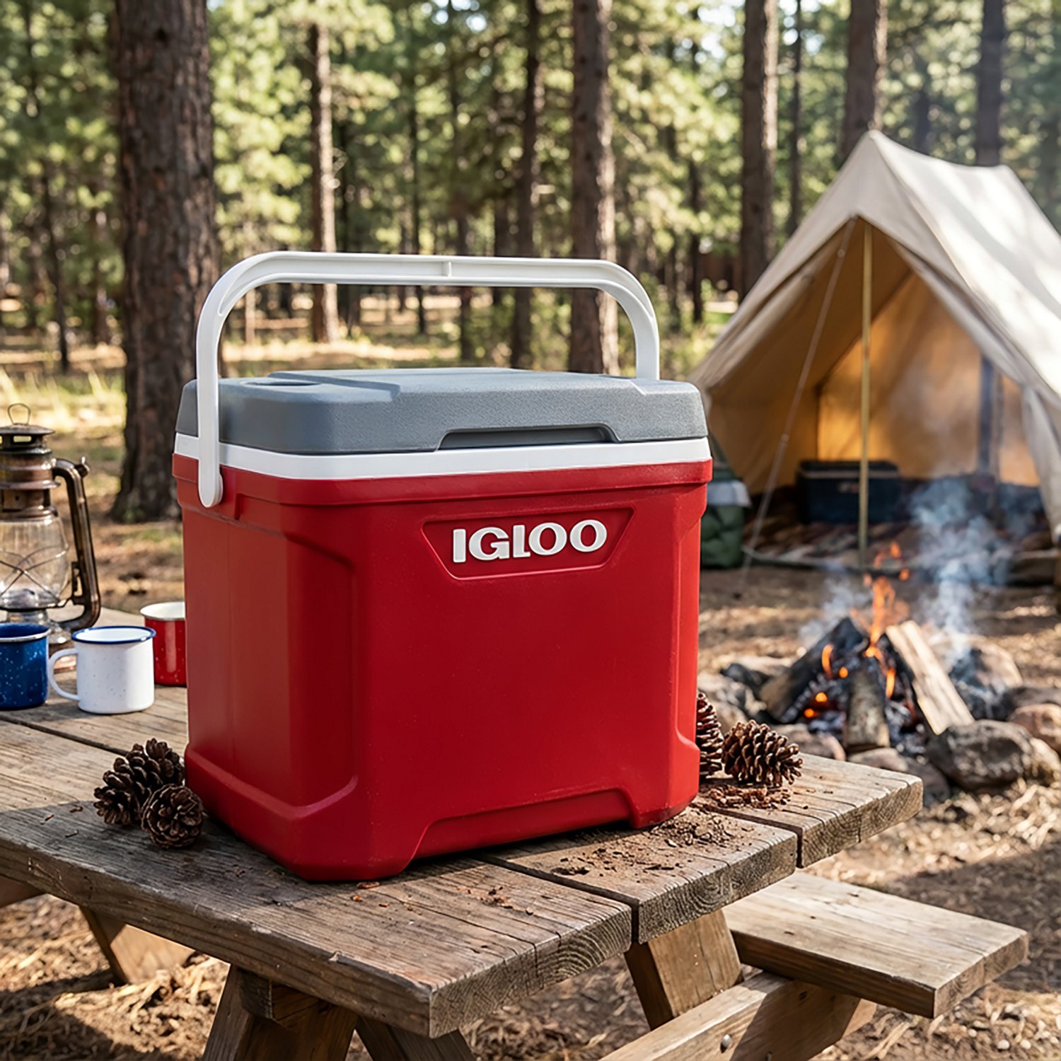 Igloo Latitude 30 qt Personal Cooler                                                                                             - view number 7