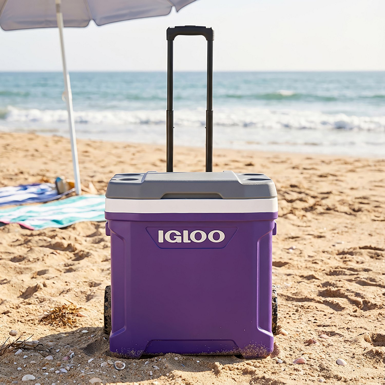 Igloo Latitude 60 qt Roller Cooler                                                                                               - view number 2