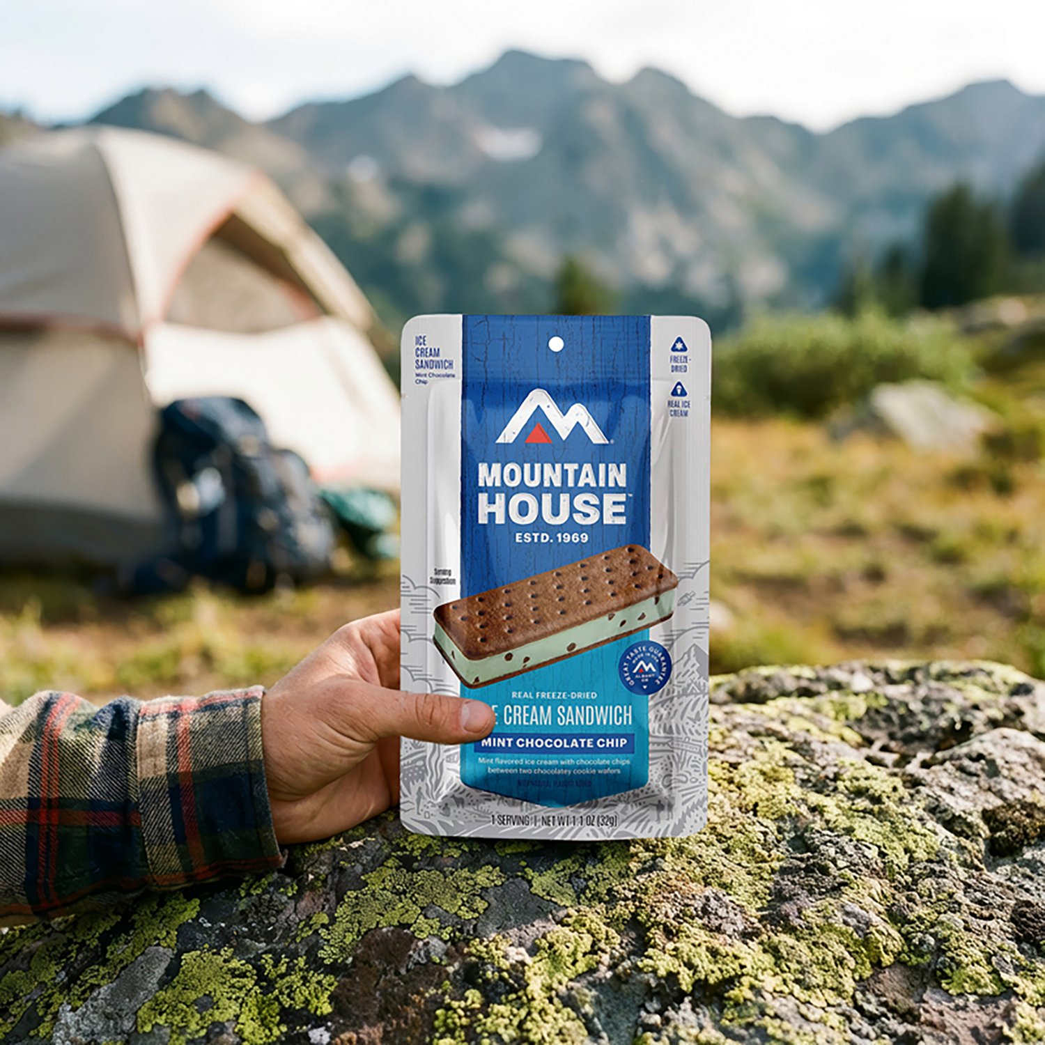 Mountain House Oregon Freeze Dry Mint Ice Cream Sandwich                                                                         - view number 5