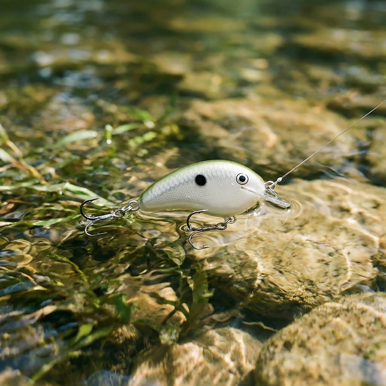 Rapala Ott's Garage Tiny 04 Shad Lure - view number 2