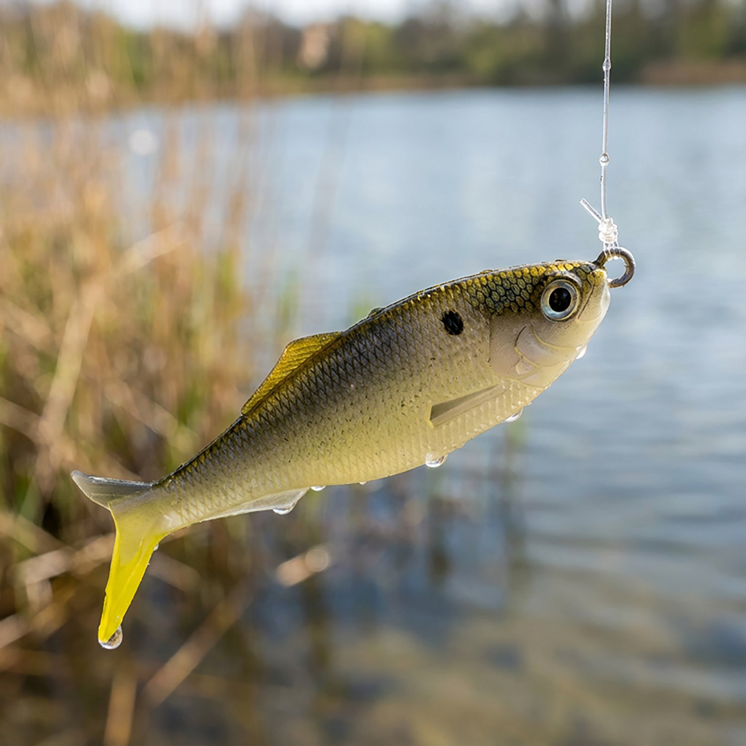 6th Sense Sweep Unrigged Plastic Swim Bait - view number 2
