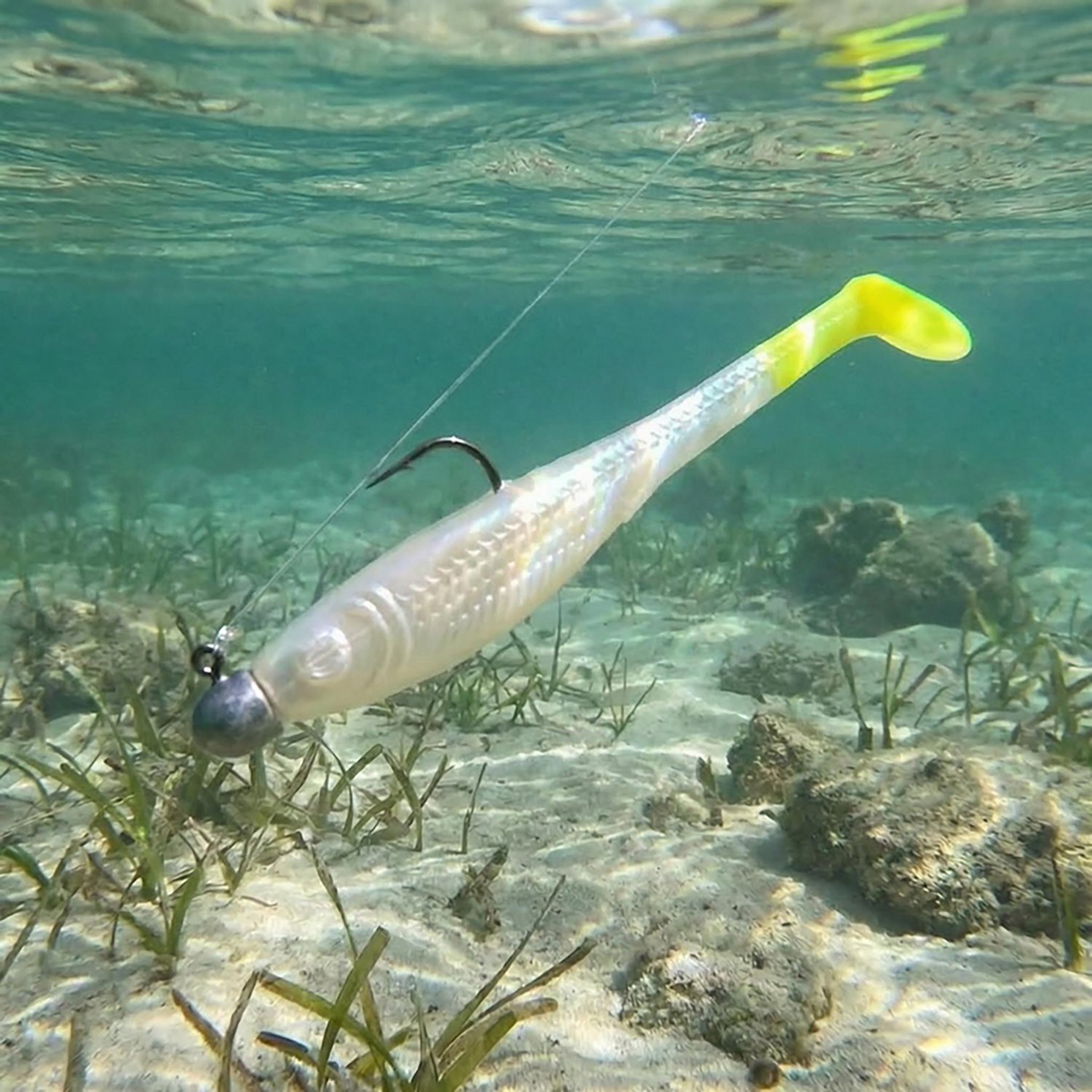 Down South Lures Southern Shad 8-Pack - view number 2